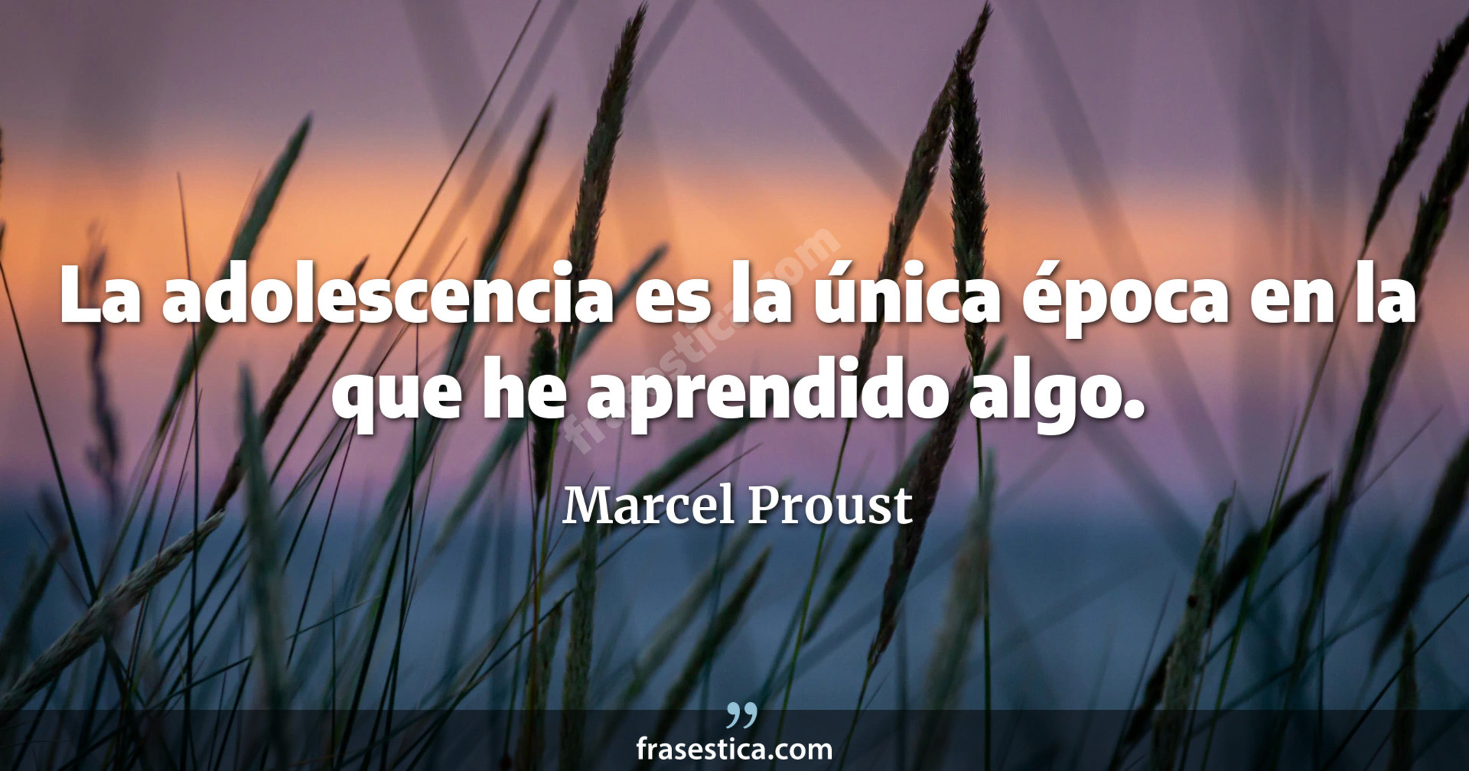 La adolescencia es la única época en la que he aprendido algo. - Marcel Proust