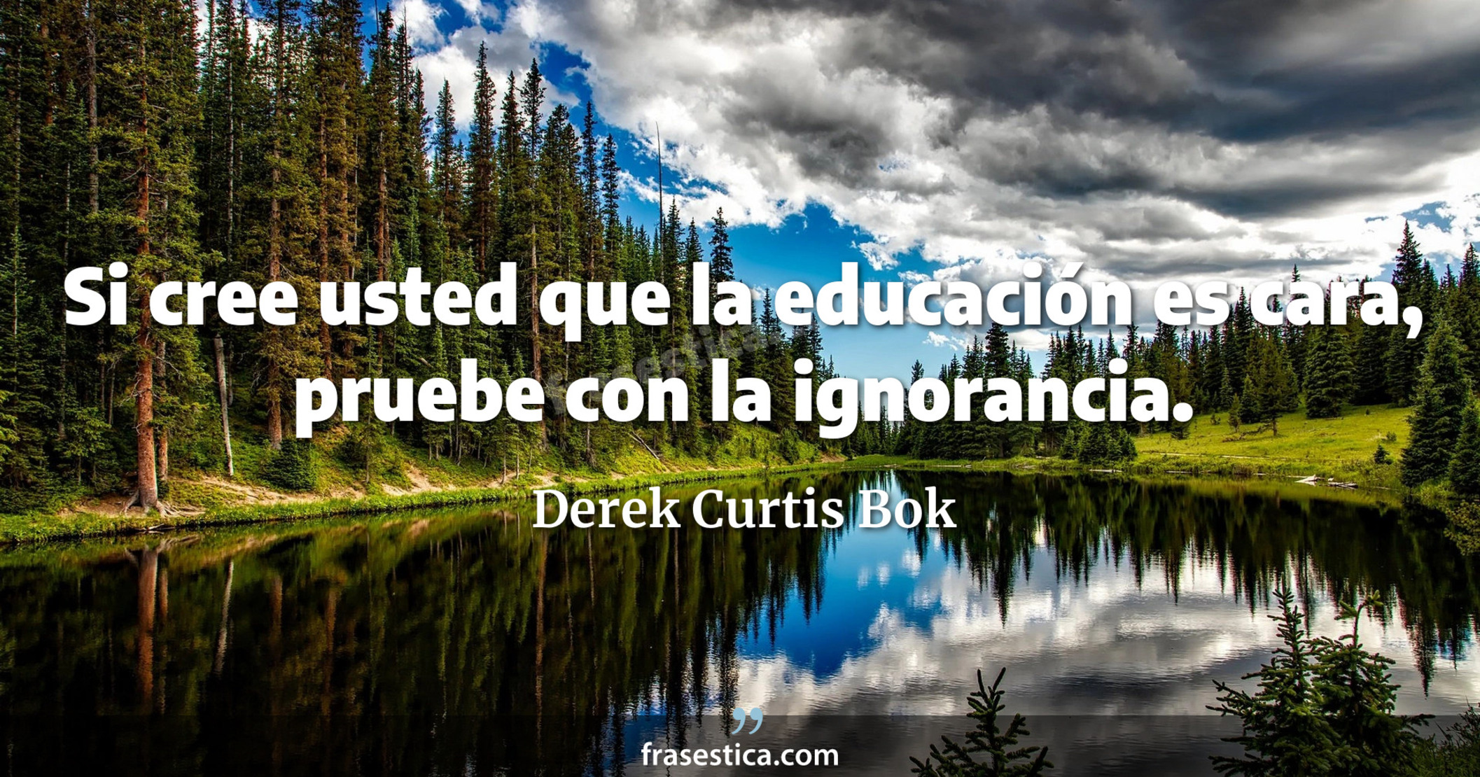 Si cree usted que la educación es cara, pruebe con la ignorancia. - Derek Curtis Bok