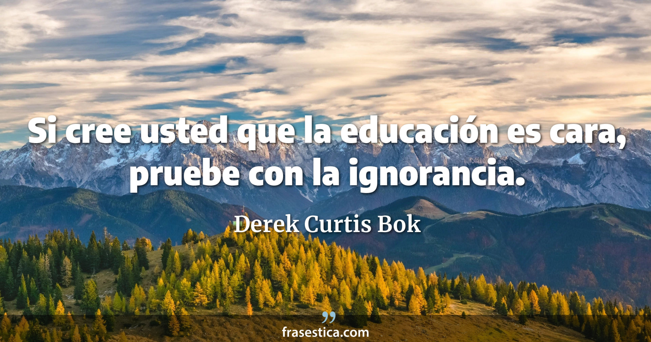 Si cree usted que la educación es cara, pruebe con la ignorancia. - Derek Curtis Bok