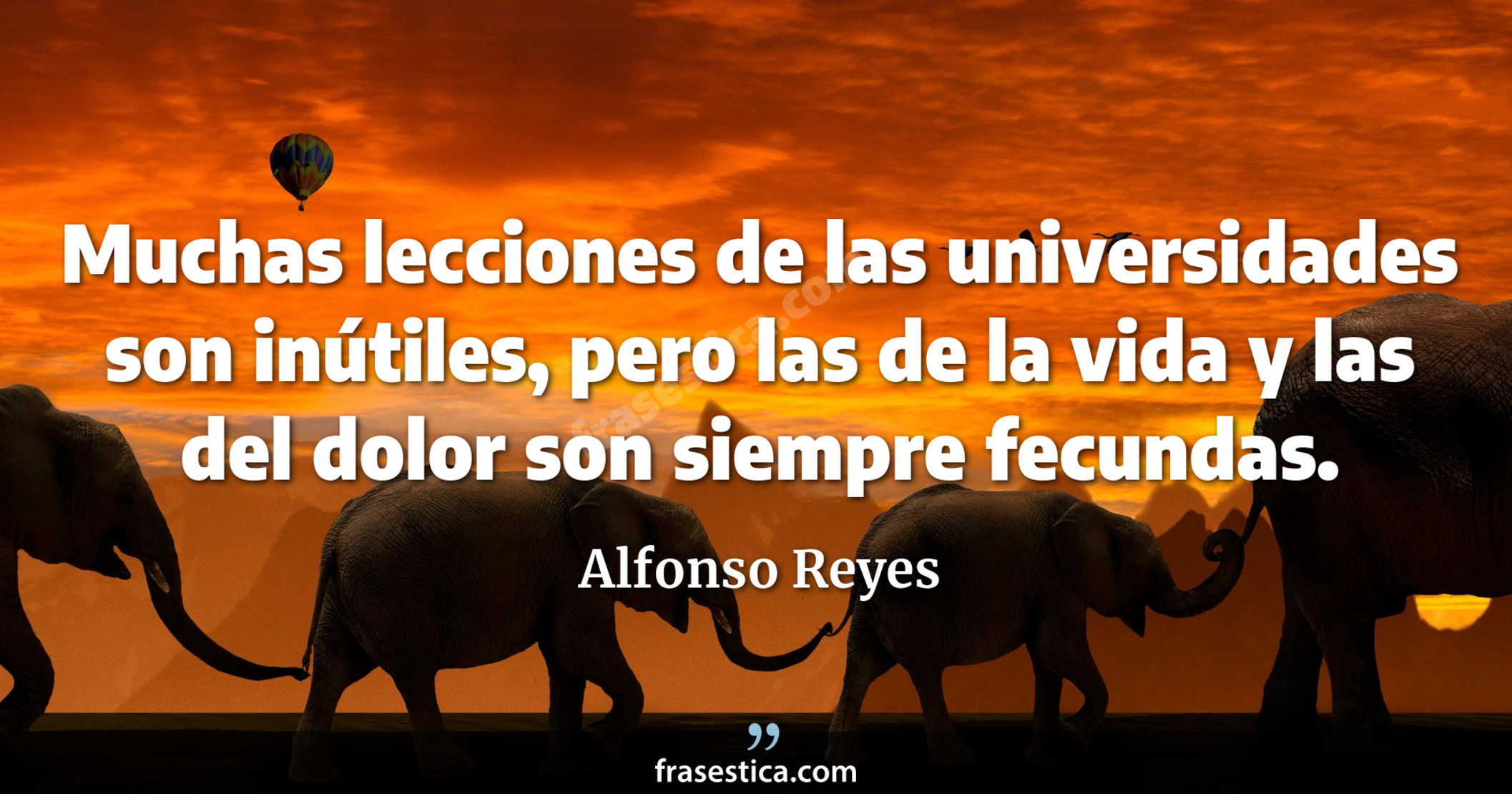 Muchas lecciones de las universidades son inútiles, pero las de la vida y las del dolor son siempre fecundas. - Alfonso Reyes