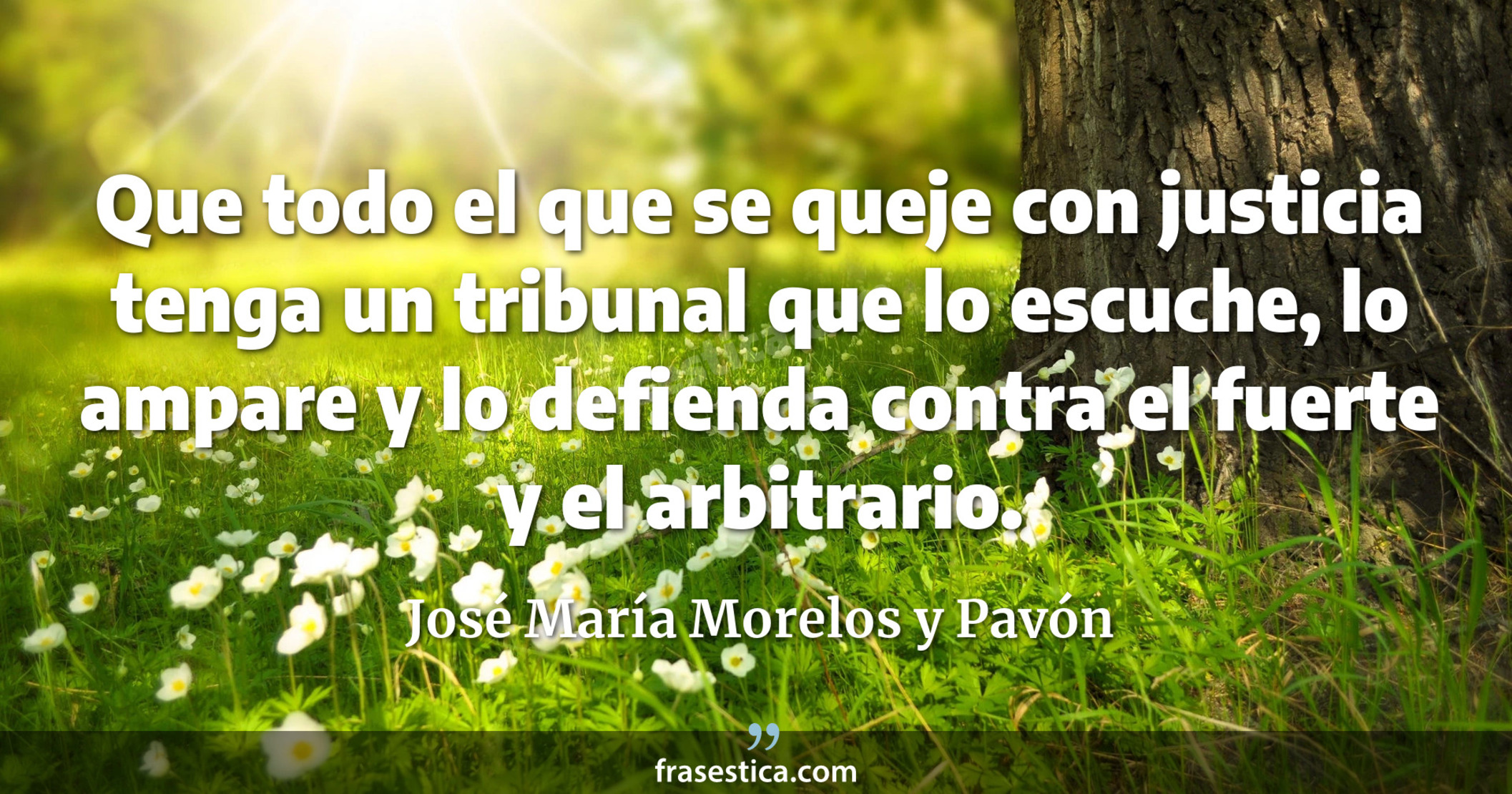 Que todo el que se queje con justicia tenga un tribunal que lo escuche, lo ampare y lo defienda contra el fuerte y el arbitrario. - José María Morelos y Pavón