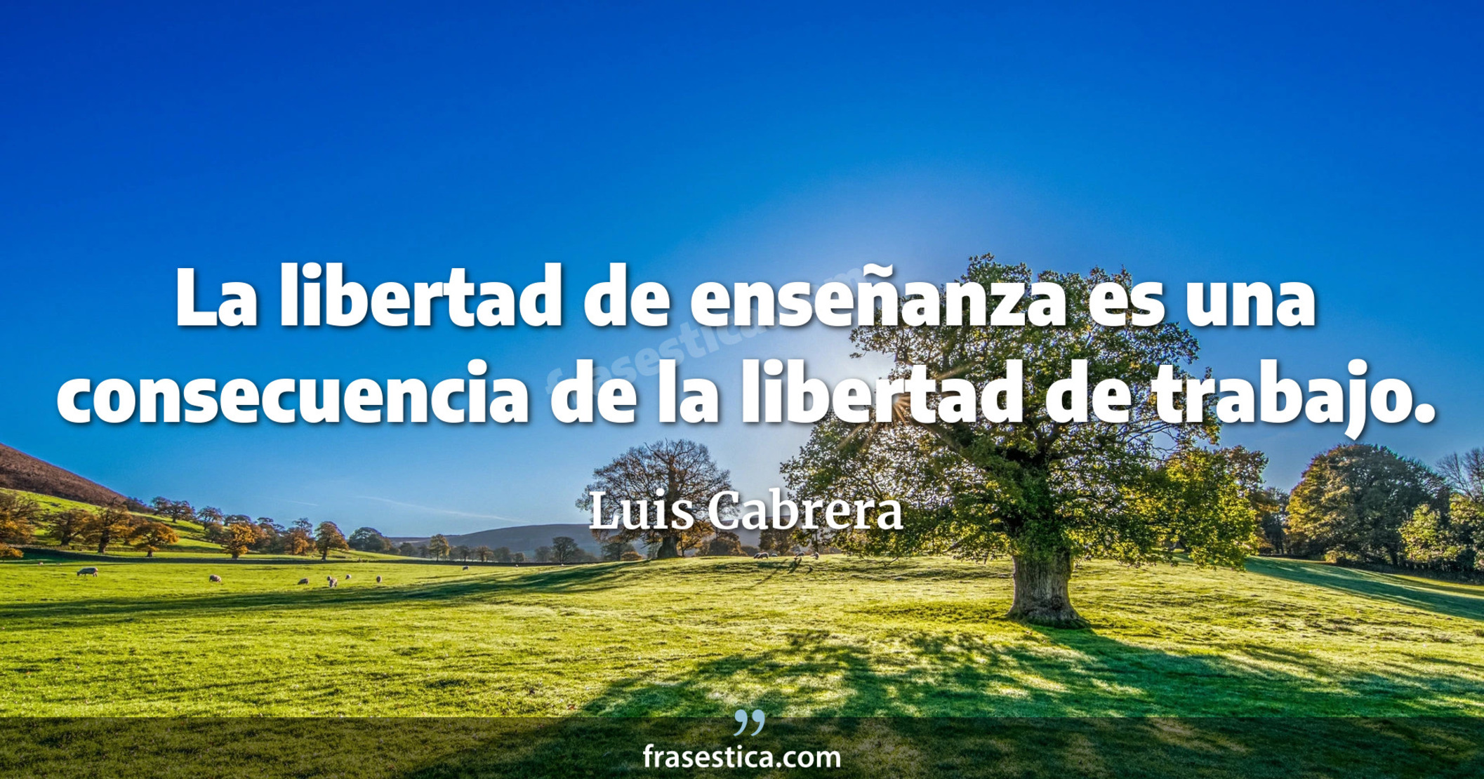 La libertad de enseñanza es una consecuencia de la libertad de trabajo. - Luis Cabrera