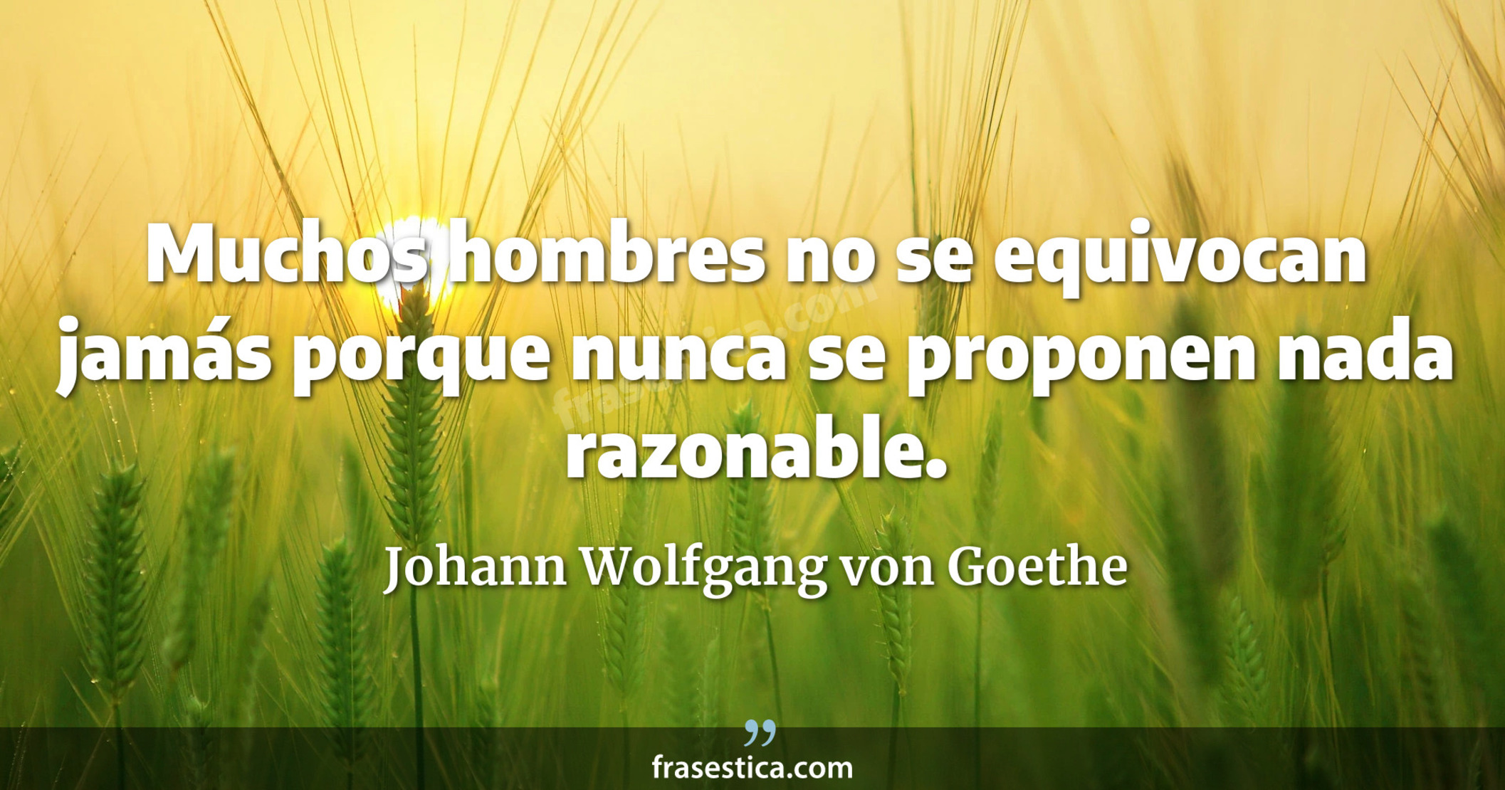 Muchos hombres no se equivocan jamás porque nunca se proponen nada razonable. - Johann Wolfgang von Goethe