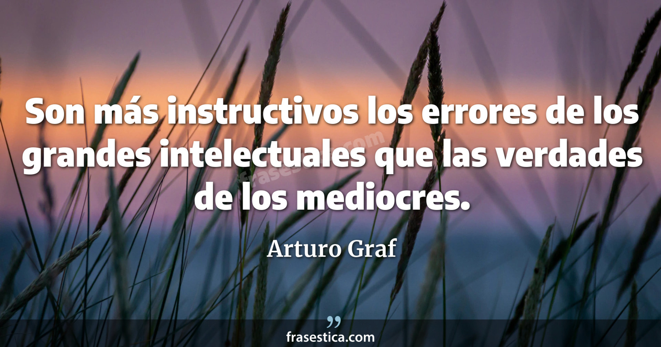 Son más instructivos los errores de los grandes intelectuales que las verdades de los mediocres. - Arturo Graf