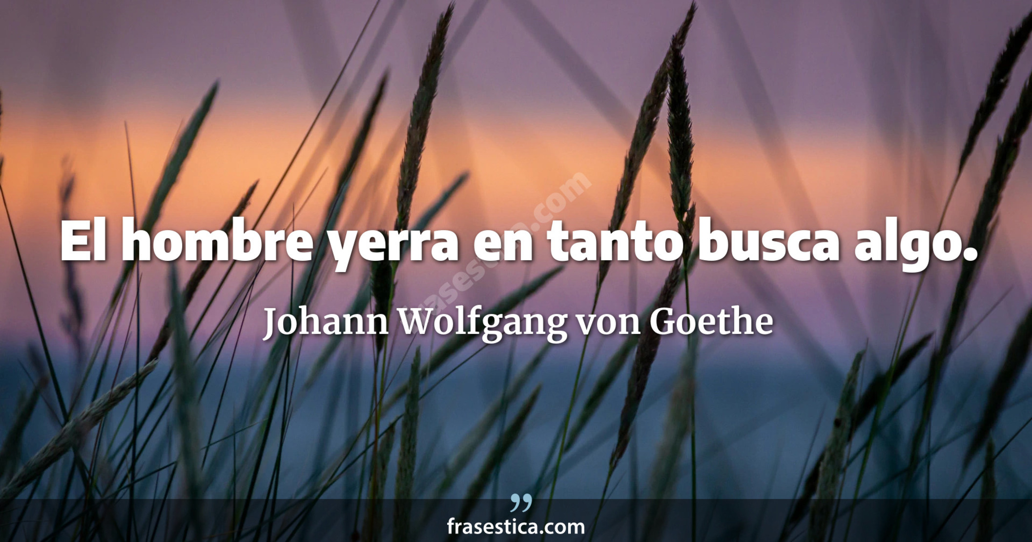 El hombre yerra en tanto busca algo. - Johann Wolfgang von Goethe