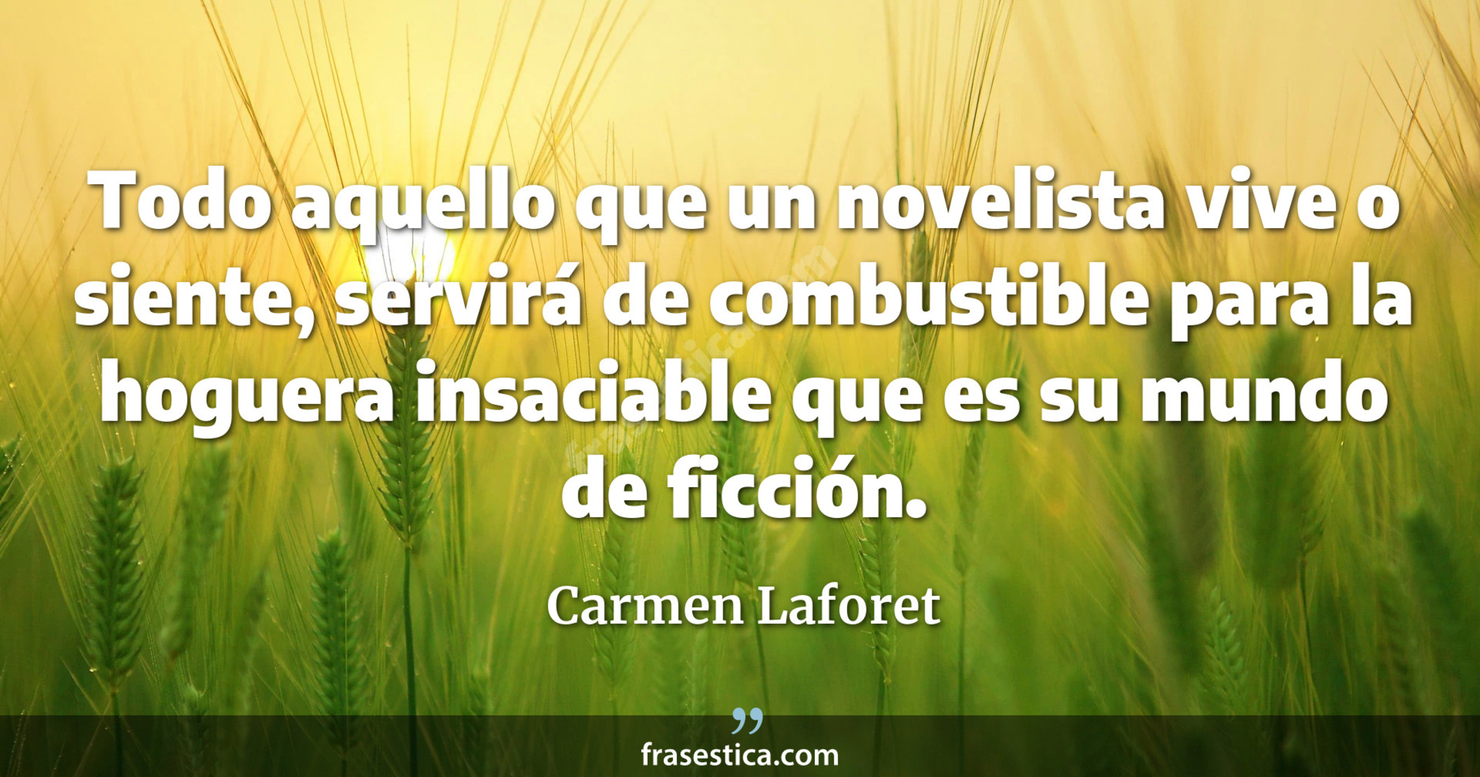 Todo aquello que un novelista vive o siente, servirá de combustible para la hoguera insaciable que es su mundo de ficción. - Carmen Laforet