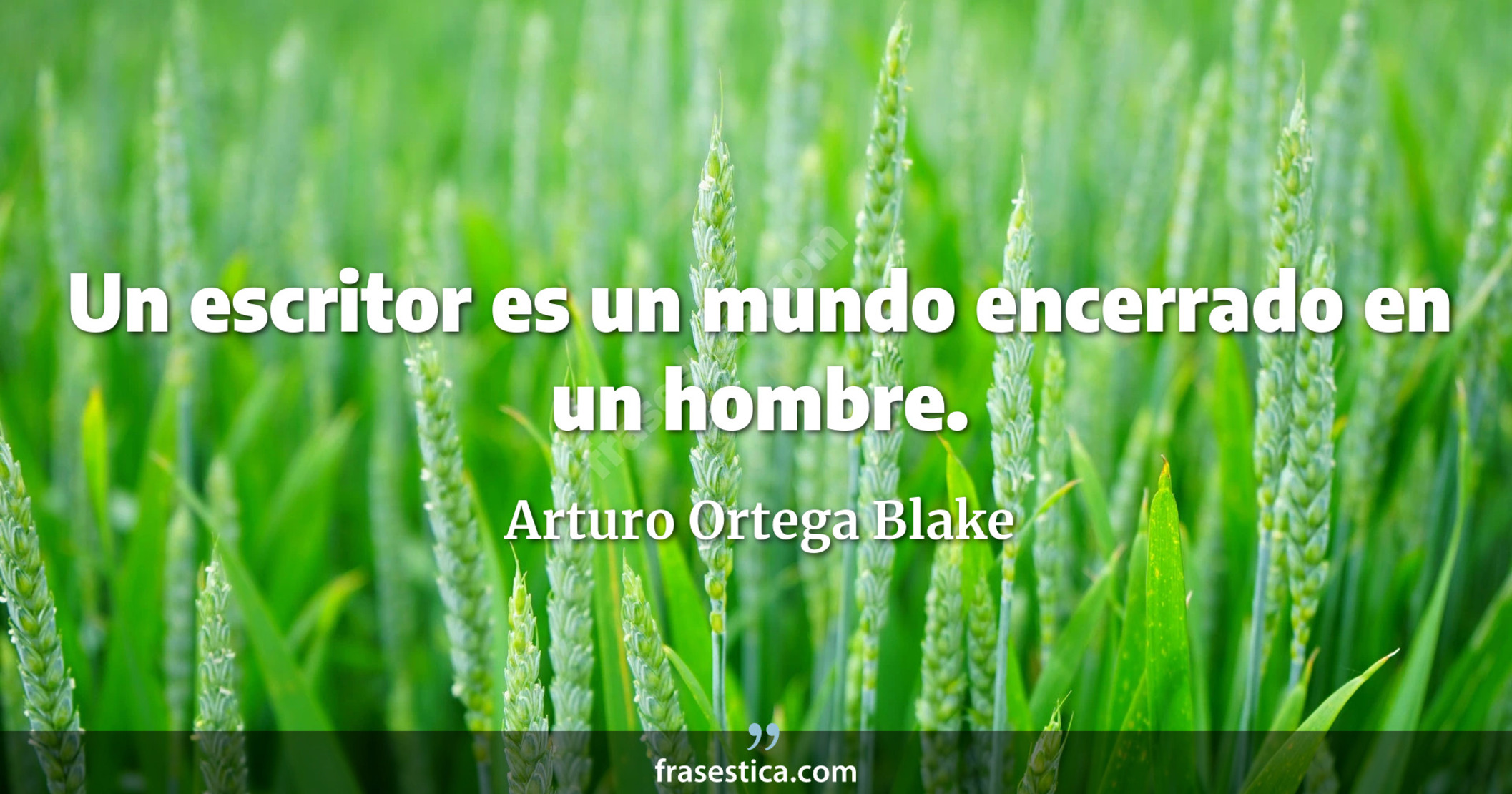 Un escritor es un mundo encerrado en un hombre. - Arturo Ortega Blake