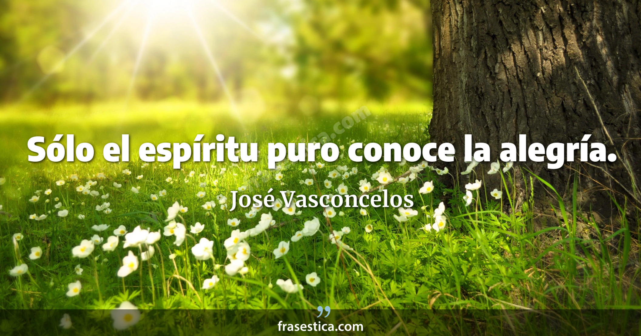 Sólo el espíritu puro conoce la alegría. - José Vasconcelos