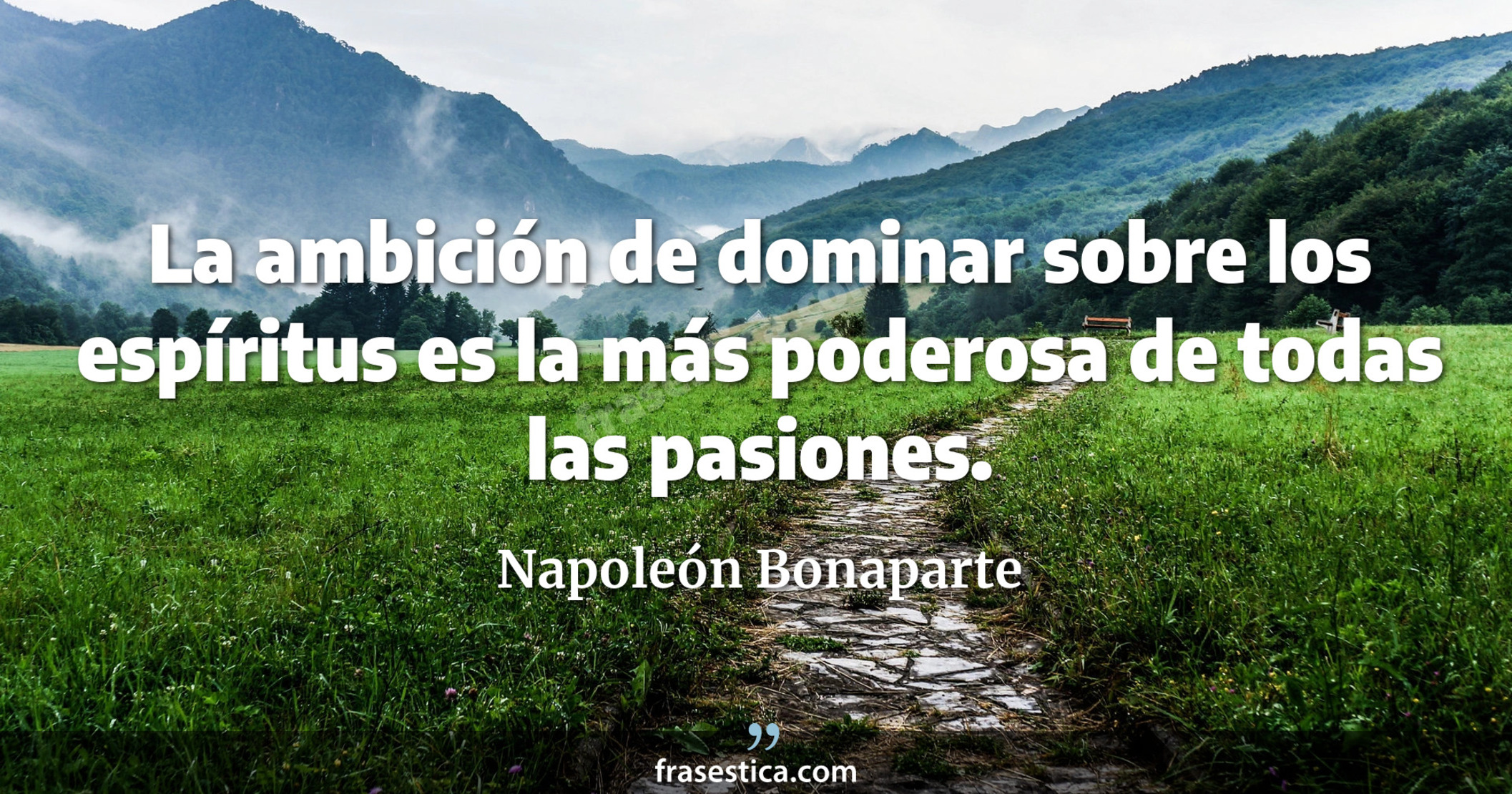 La ambición de dominar sobre los espíritus es la más poderosa de todas las pasiones. - Napoleón Bonaparte