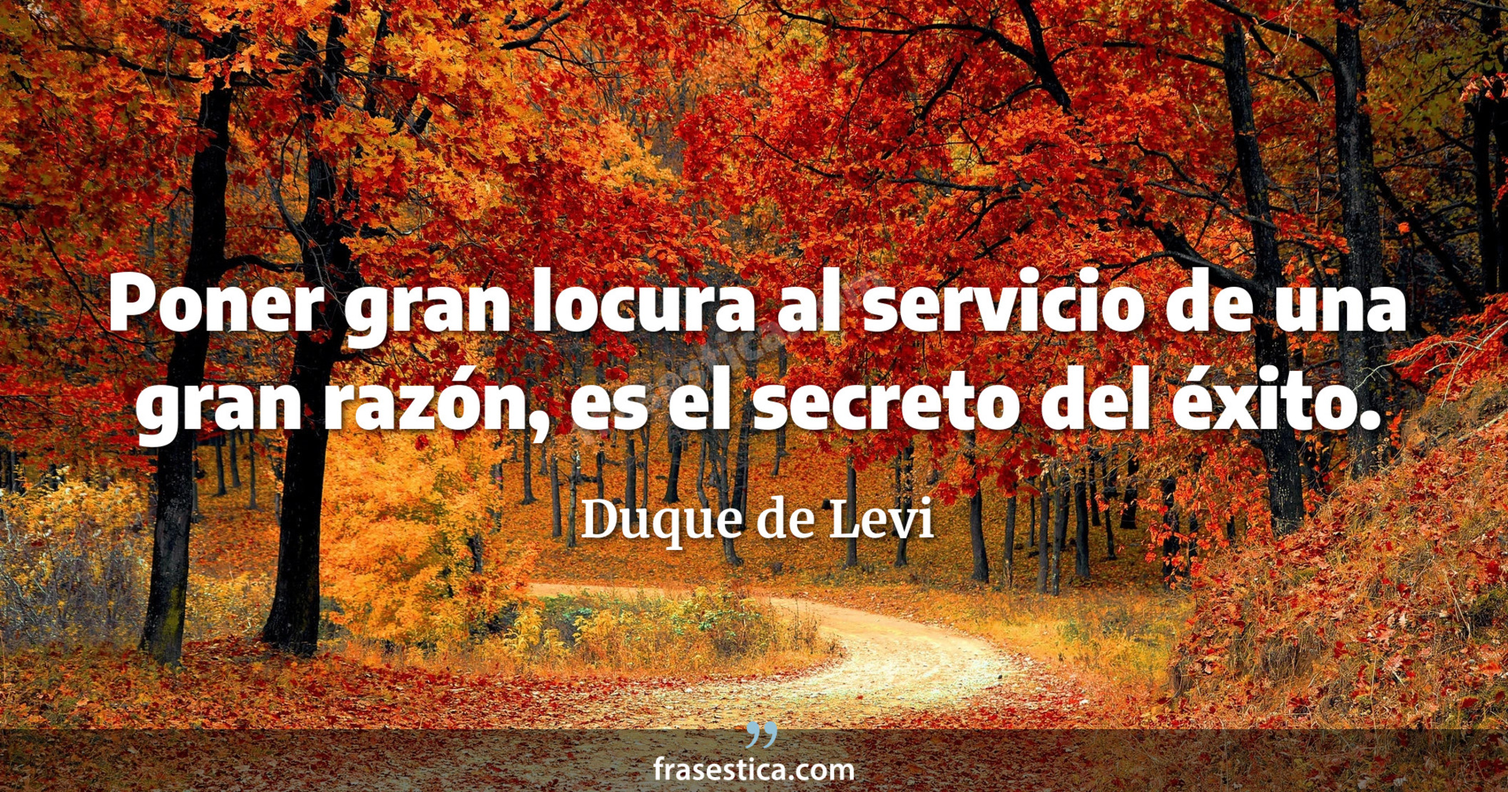 Poner gran locura al servicio de una gran razón, es el secreto del éxito. - Duque de Levi