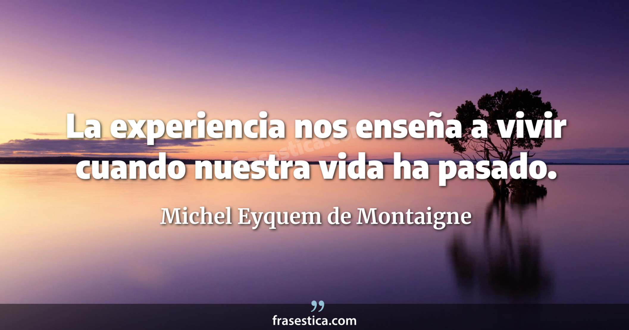La experiencia nos enseña a vivir cuando nuestra vida ha pasado. - Michel Eyquem de Montaigne