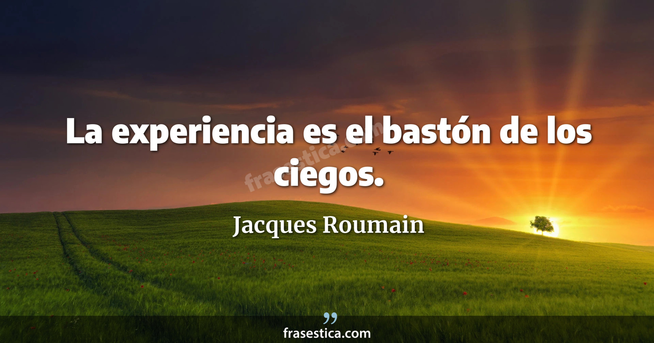 La experiencia es el bastón de los ciegos. - Jacques Roumain