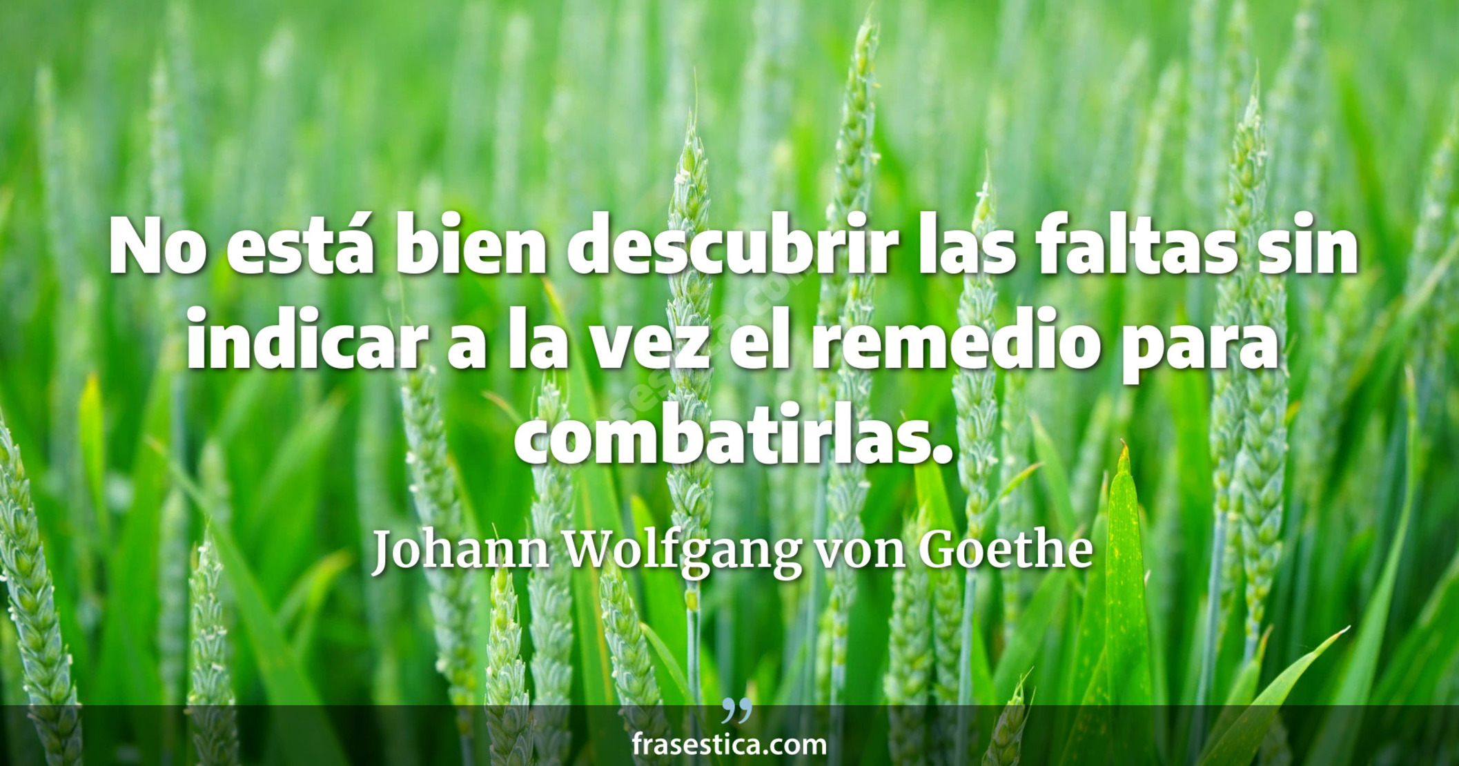 No está bien descubrir las faltas sin indicar a la vez el remedio para combatirlas. - Johann Wolfgang von Goethe