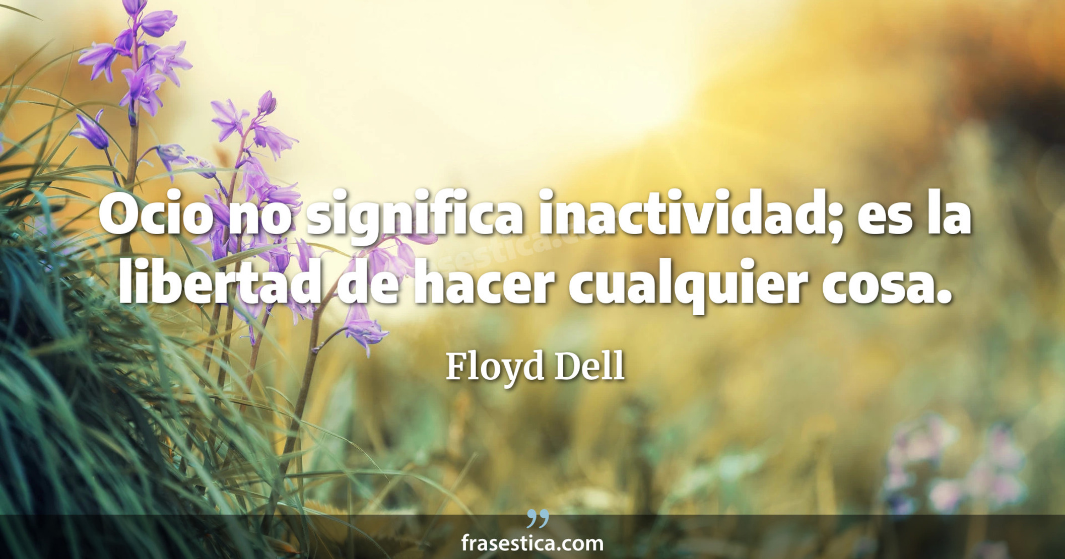 Ocio no significa inactividad; es la libertad de hacer cualquier cosa. - Floyd Dell