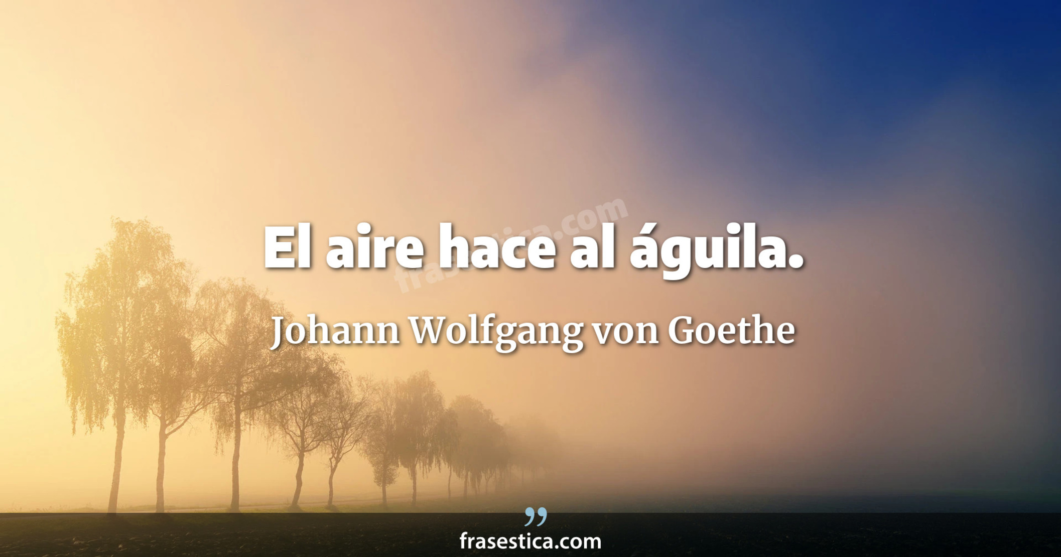 El aire hace al águila. - Johann Wolfgang von Goethe