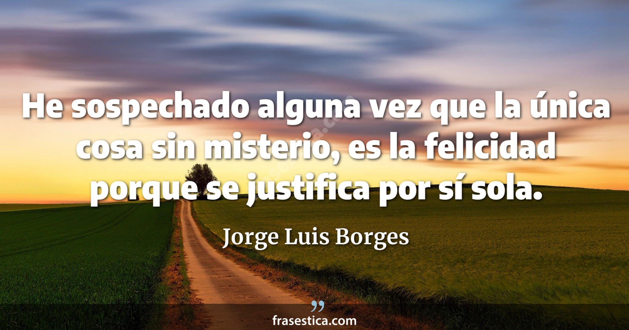 He sospechado alguna vez que la única cosa sin misterio, es la felicidad porque se justifica por sí sola. - Jorge Luis Borges