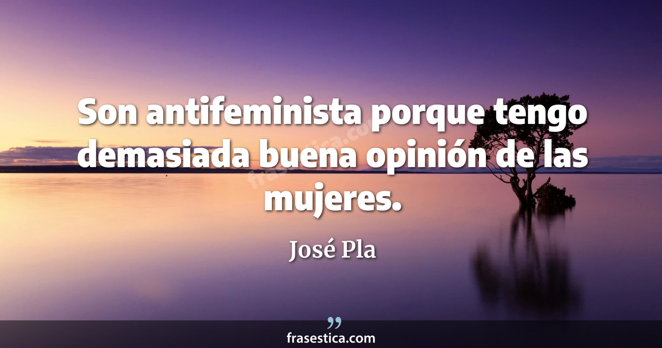Son antifeminista porque tengo demasiada buena opinión de las mujeres. - José Pla