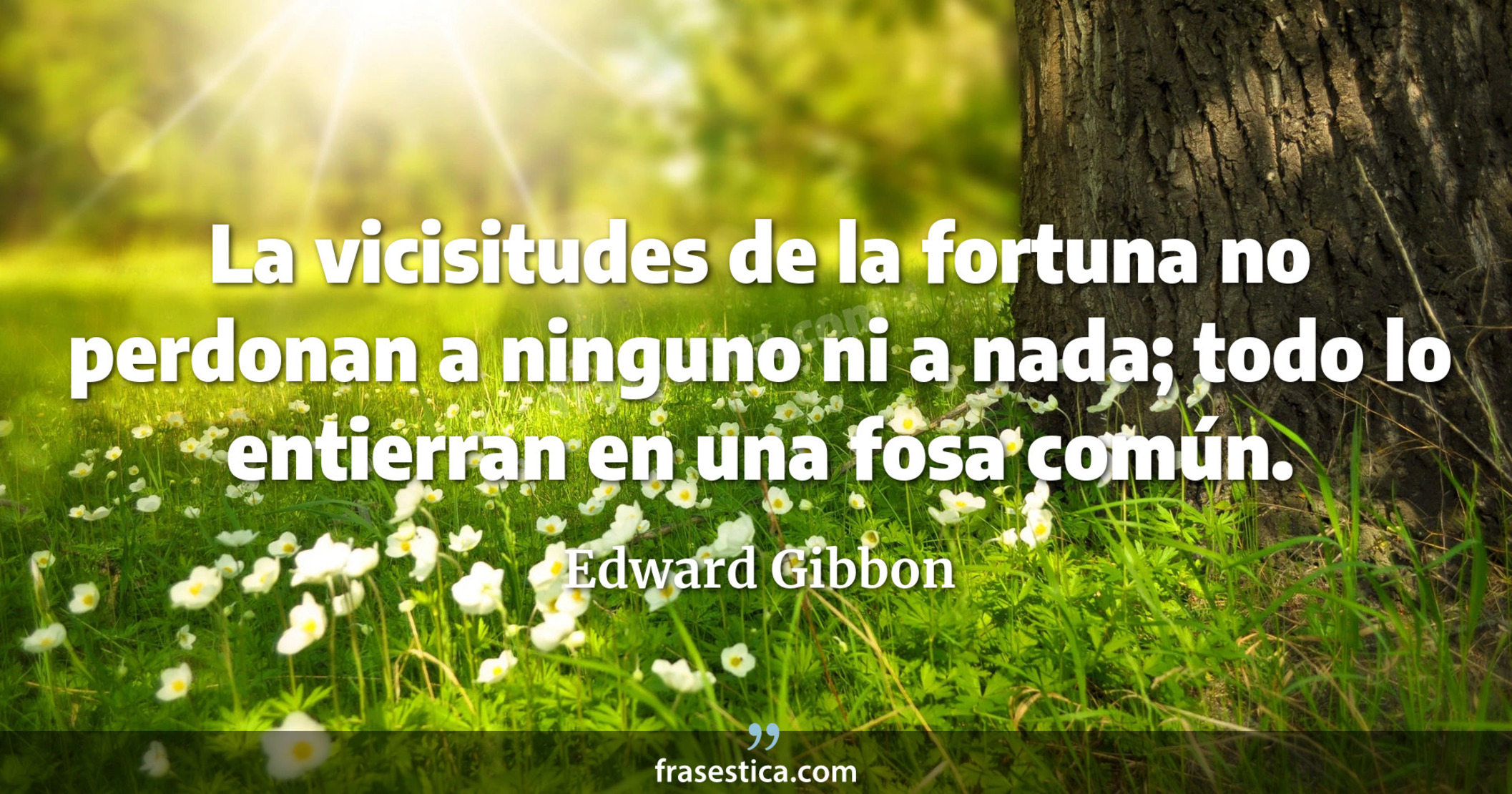 La vicisitudes de la fortuna no perdonan a ninguno ni a nada; todo lo entierran en una fosa común. - Edward Gibbon