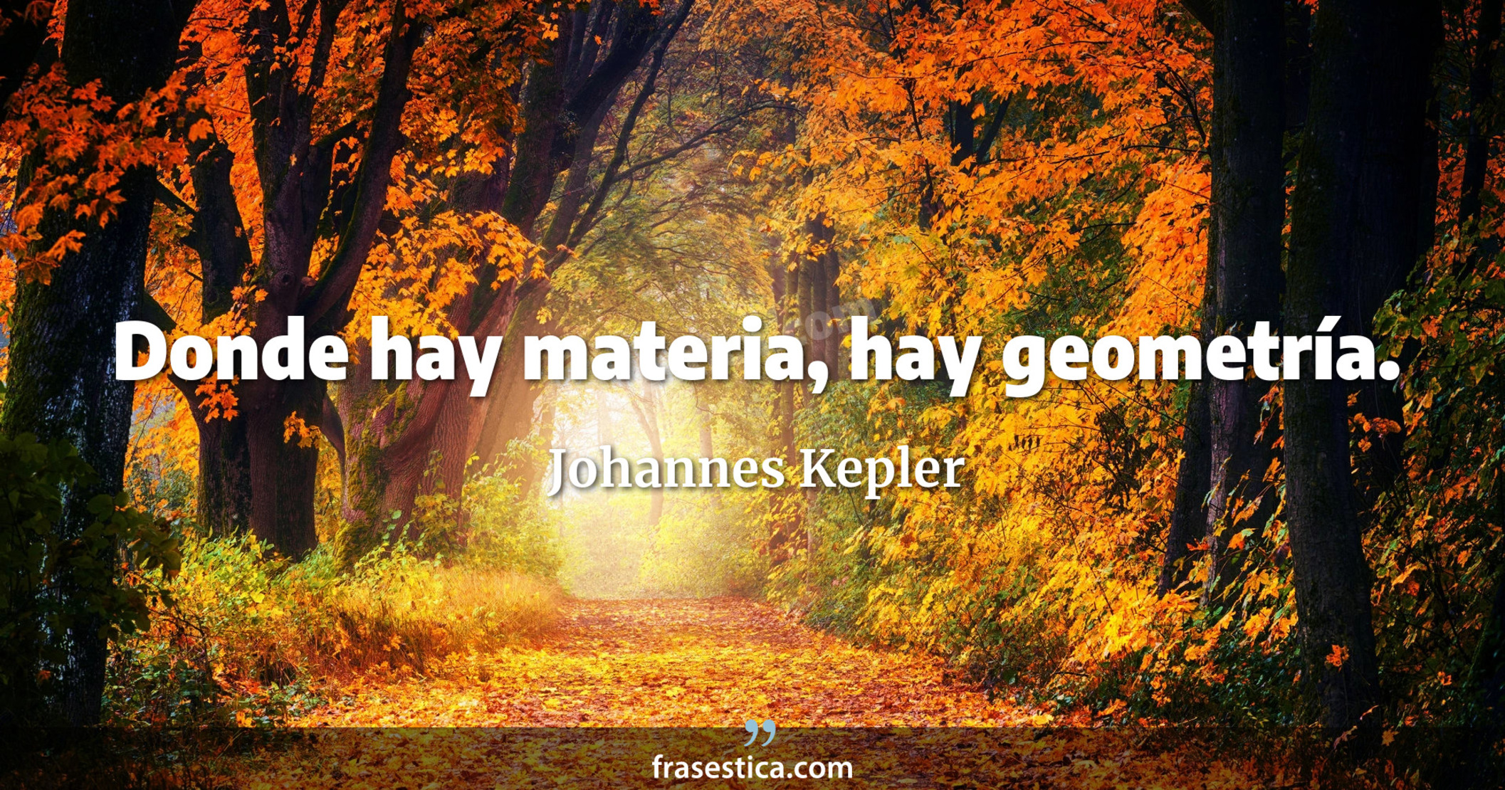 Donde hay materia, hay geometría. - Johannes Kepler