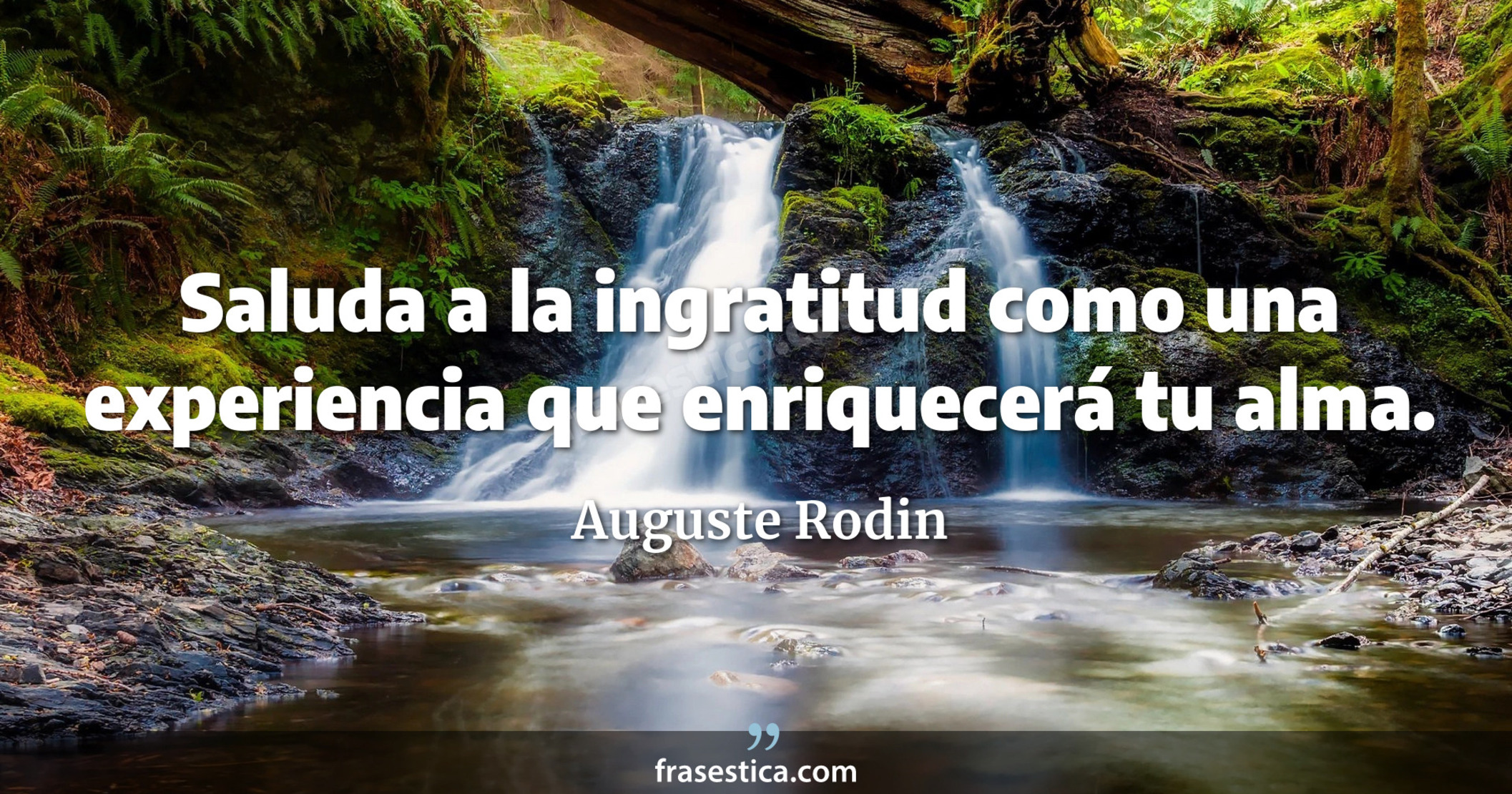 Saluda a la ingratitud como una experiencia que enriquecerá tu alma. - Auguste Rodin