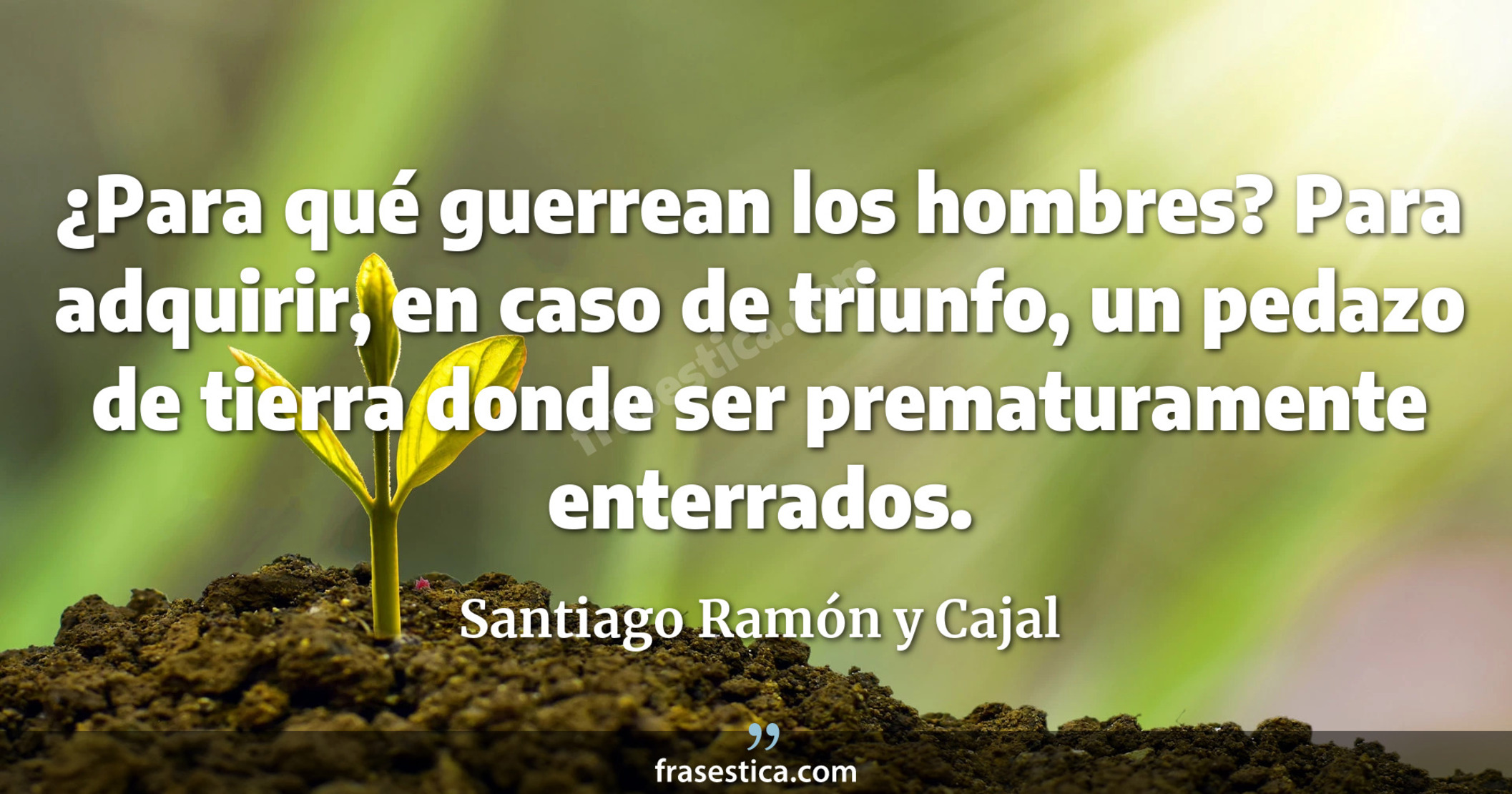 ¿Para qué guerrean los hombres? Para adquirir, en caso de triunfo, un pedazo de tierra donde ser prematuramente enterrados. - Santiago Ramón y Cajal