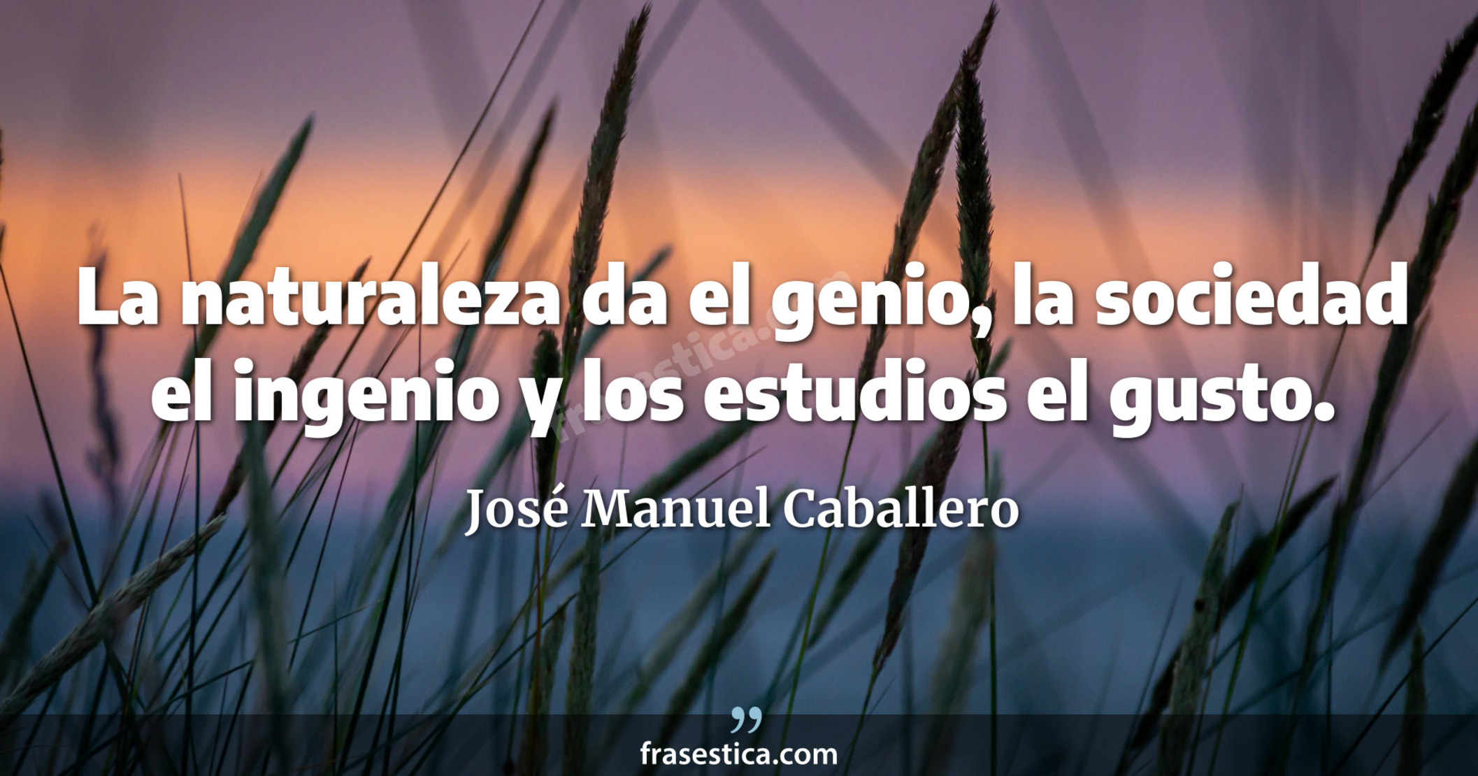 La naturaleza da el genio, la sociedad el ingenio y los estudios el gusto. - José Manuel Caballero