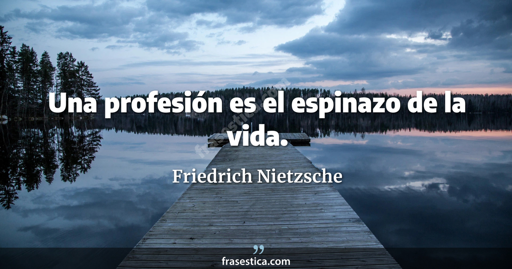 Una profesión es el espinazo de la vida. - Friedrich Nietzsche
