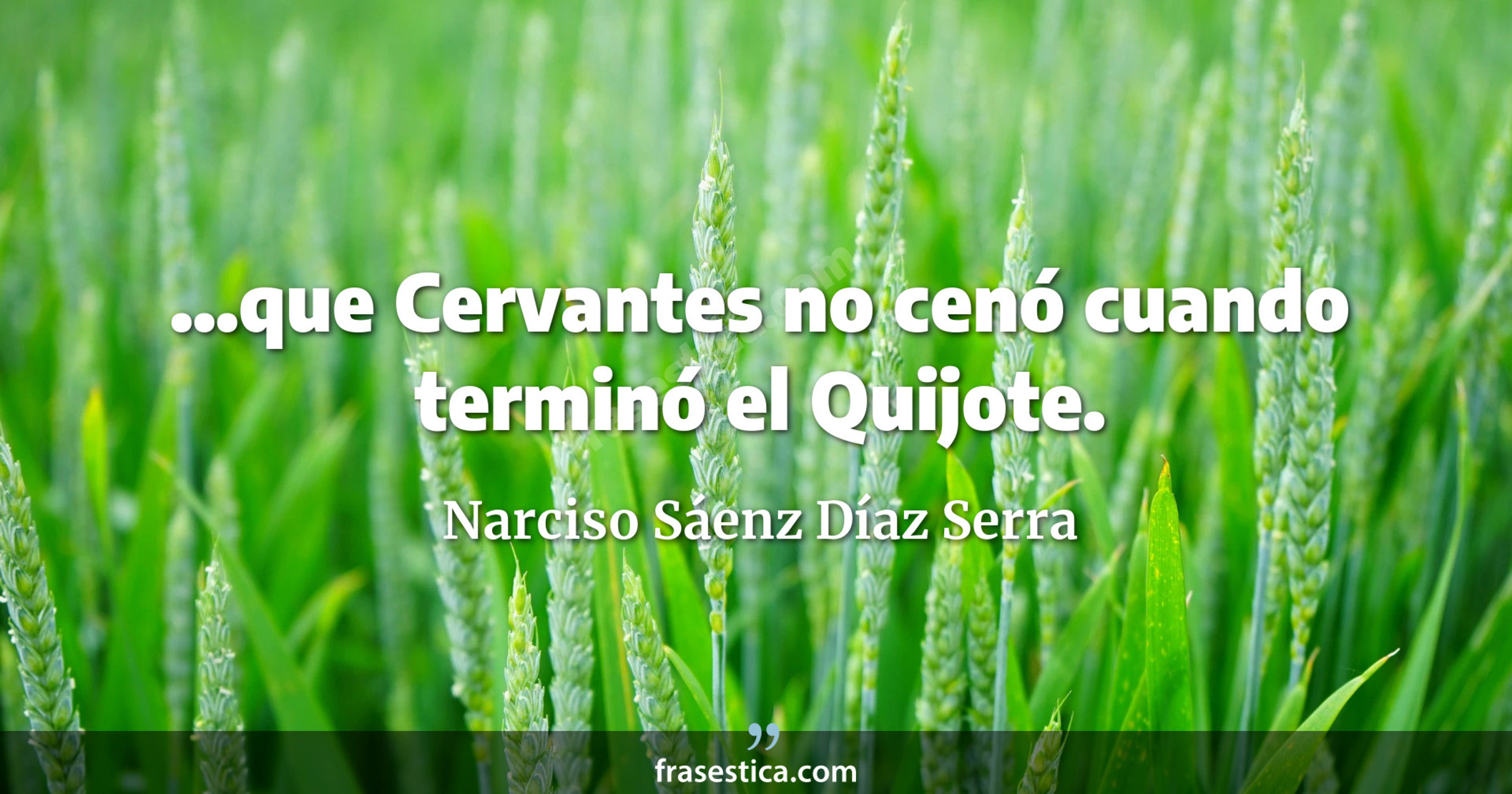 ...que Cervantes no cenó cuando terminó el Quijote. - Narciso Sáenz Díaz Serra