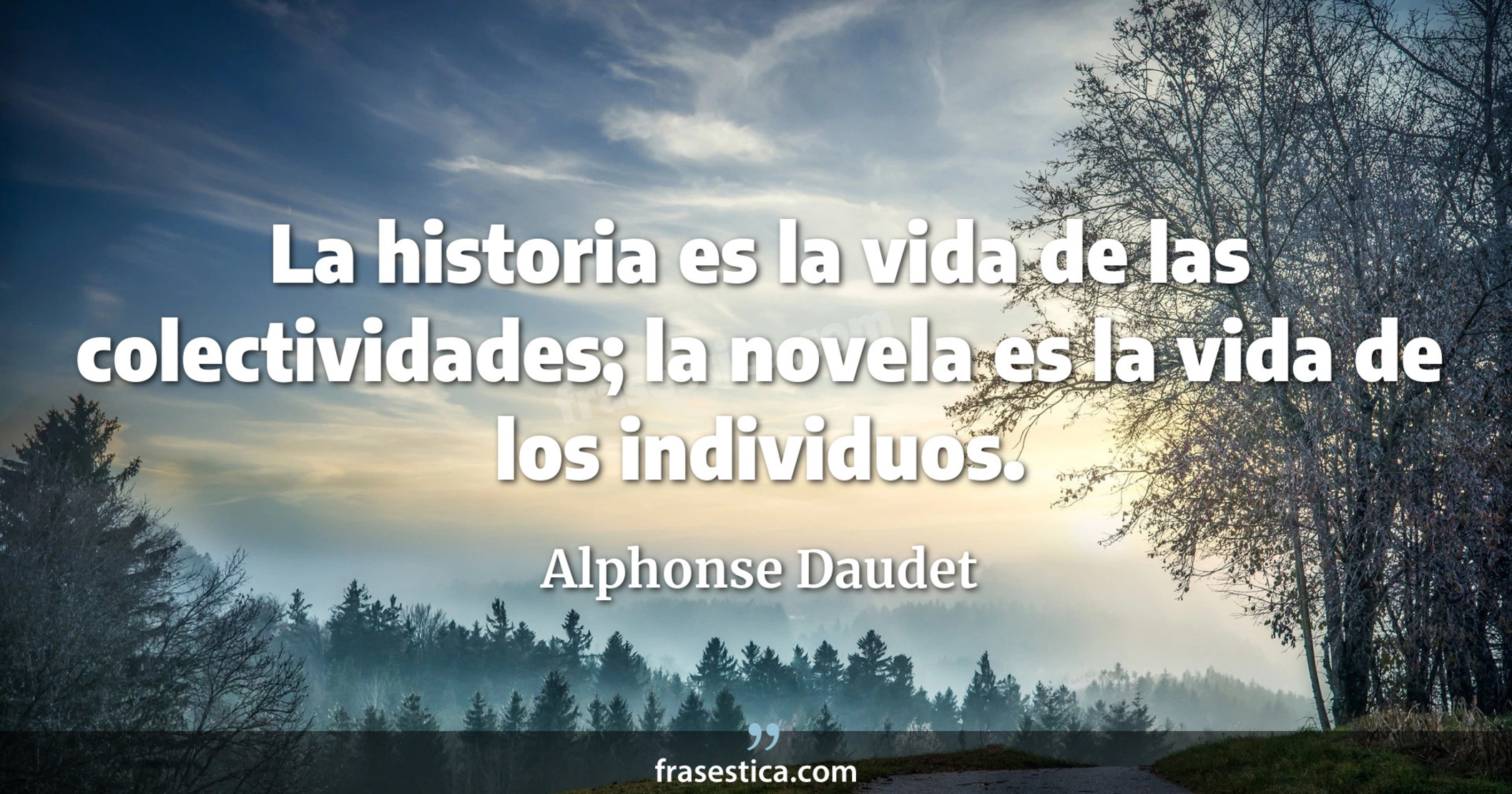 La historia es la vida de las colectividades; la novela es la vida de los individuos. - Alphonse Daudet