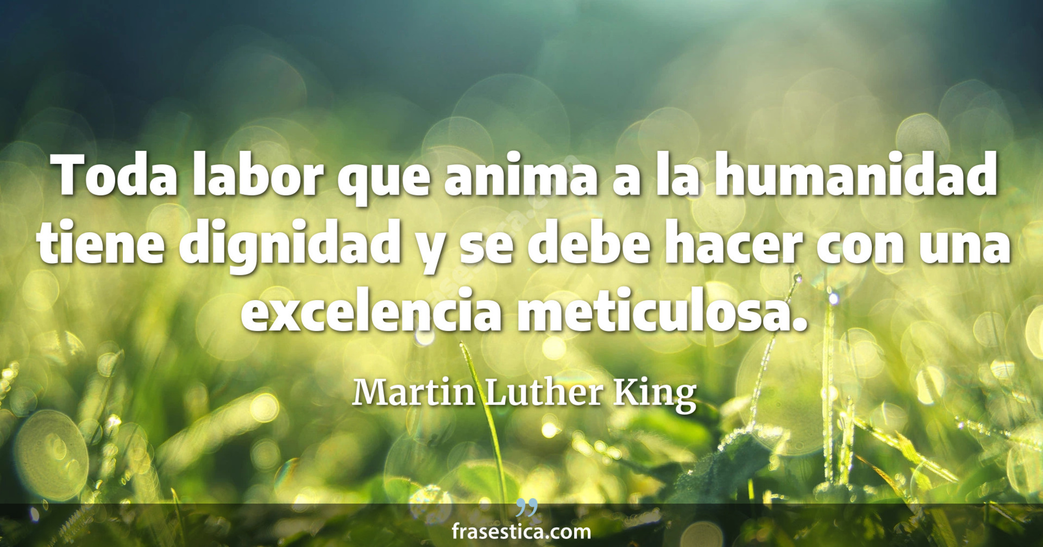 Toda labor que anima a la humanidad tiene dignidad y se debe hacer con una excelencia meticulosa. - Martin Luther King
