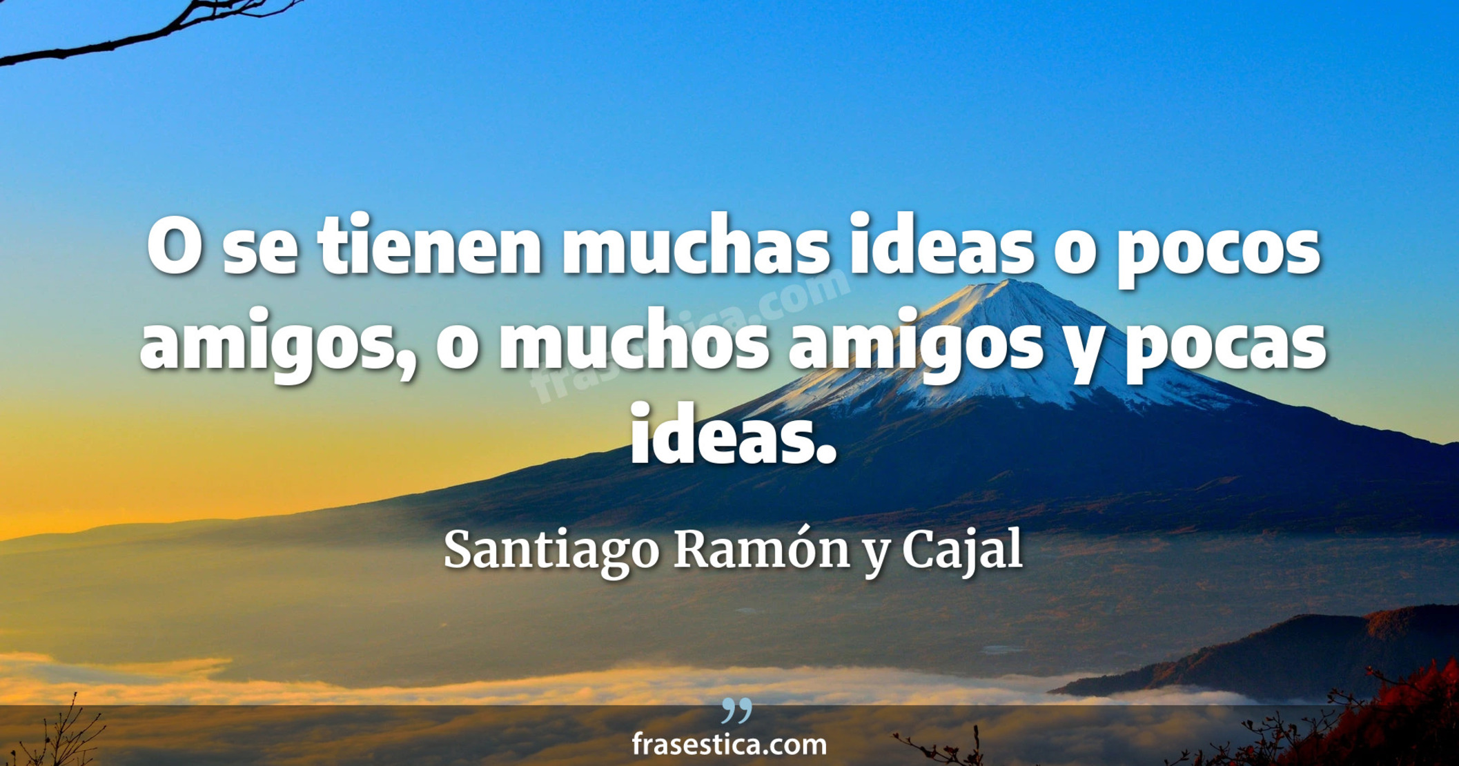 O se tienen muchas ideas o pocos amigos, o muchos amigos y pocas ideas. - Santiago Ramón y Cajal