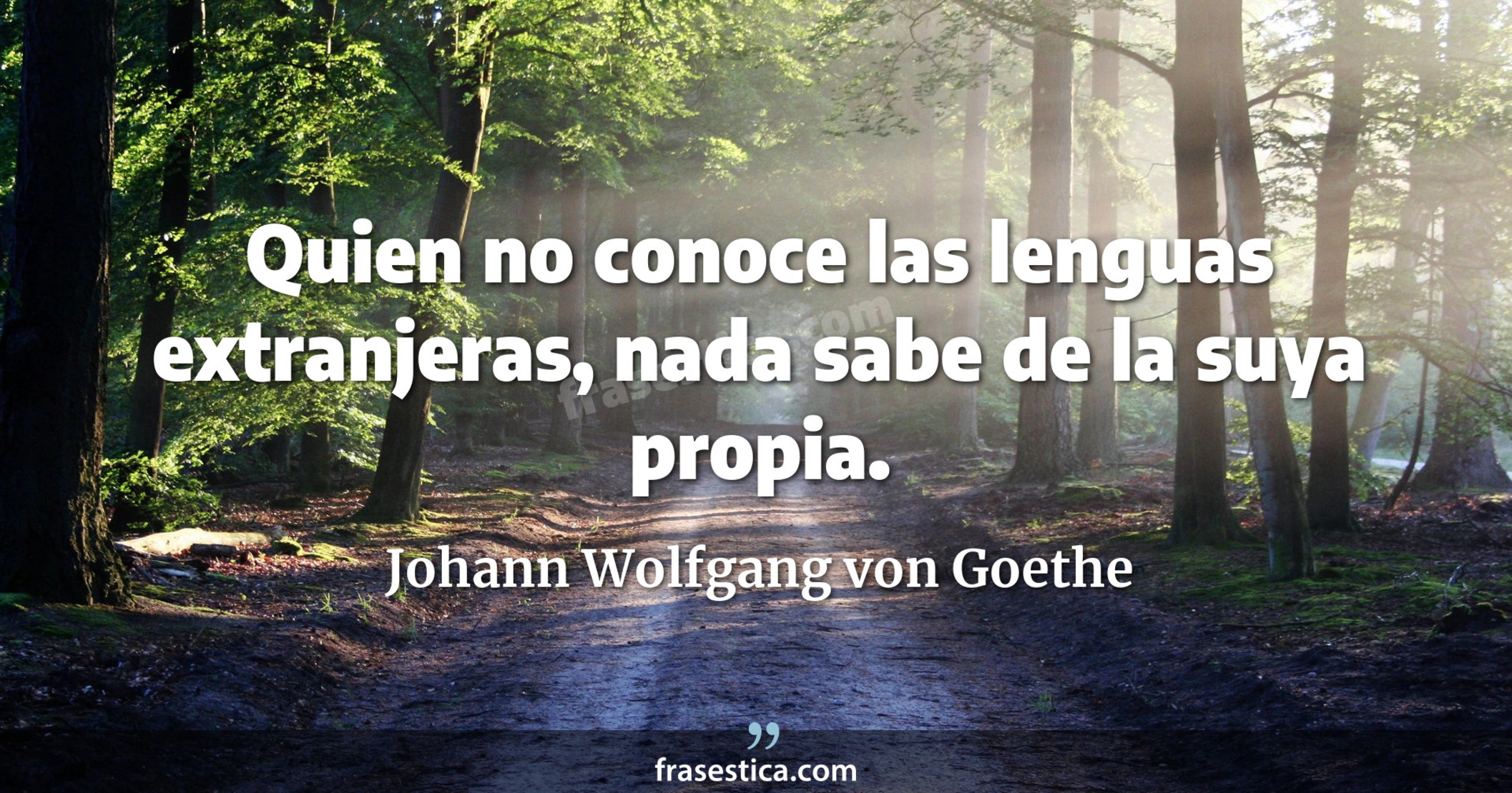 Quien no conoce las lenguas extranjeras, nada sabe de la suya propia. - Johann Wolfgang von Goethe