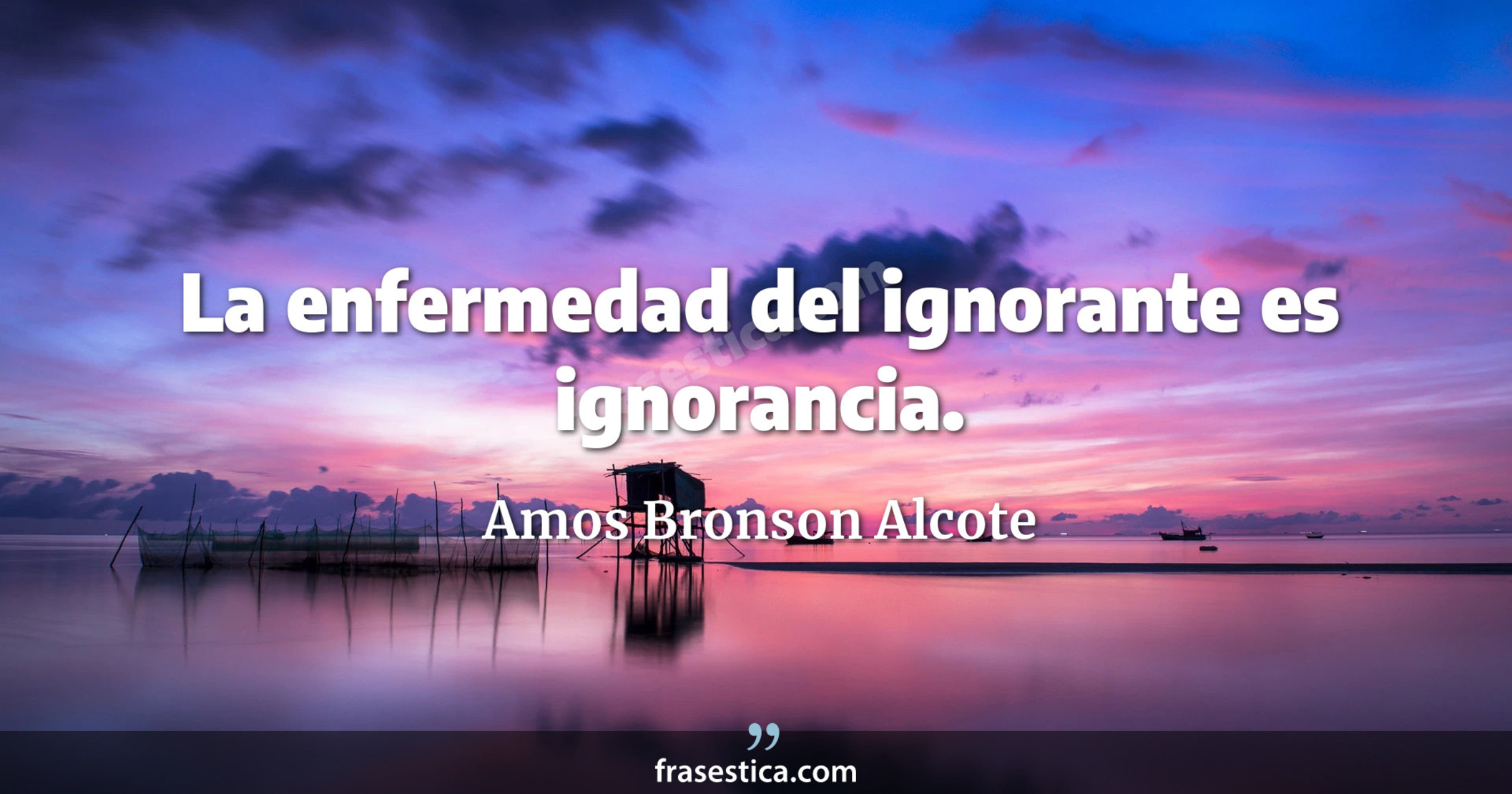 La enfermedad del ignorante es ignorancia. - Amos Bronson Alcote