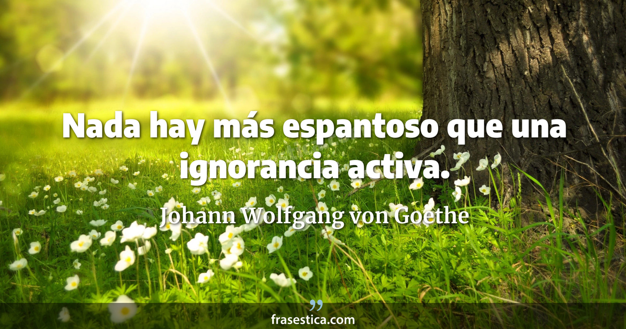 Nada hay más espantoso que una ignorancia activa. - Johann Wolfgang von Goethe