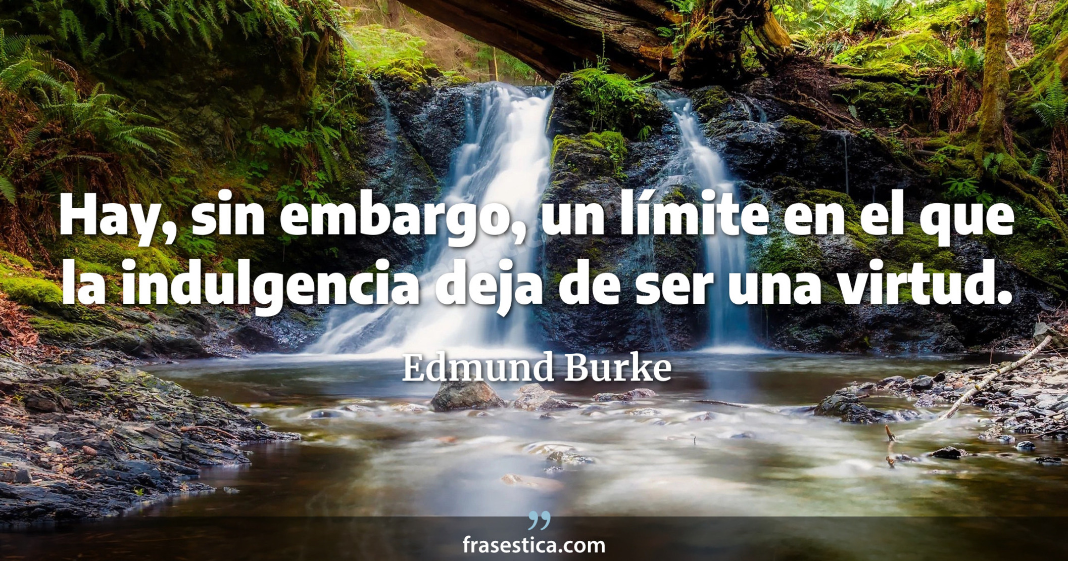 Hay, sin embargo, un límite en el que la indulgencia deja de ser una virtud. - Edmund Burke