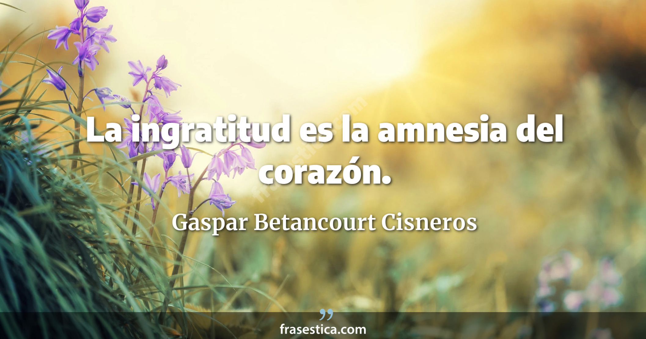 La ingratitud es la amnesia del corazón. - Gaspar Betancourt Cisneros