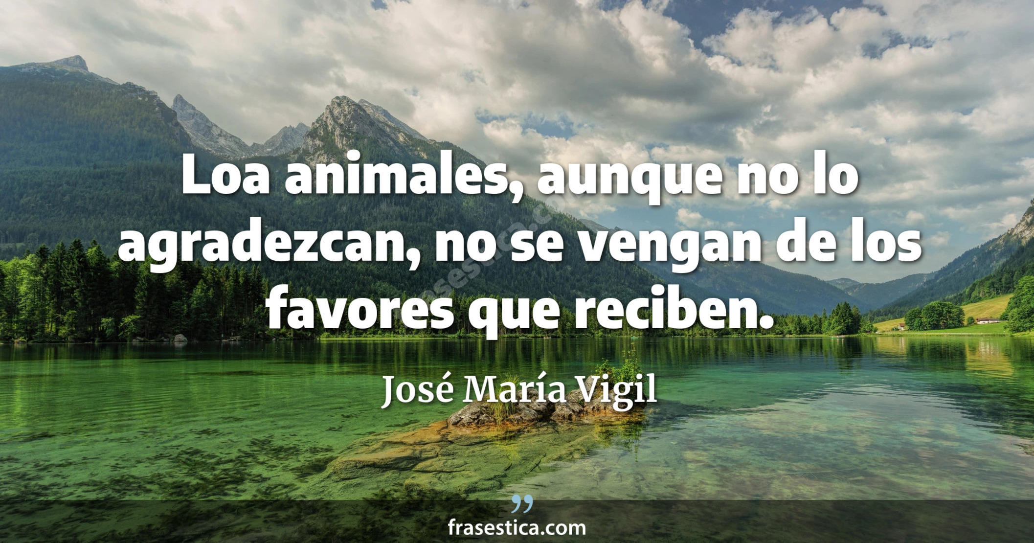 Loa animales, aunque no lo agradezcan, no se vengan de los favores que reciben. - José María Vigil