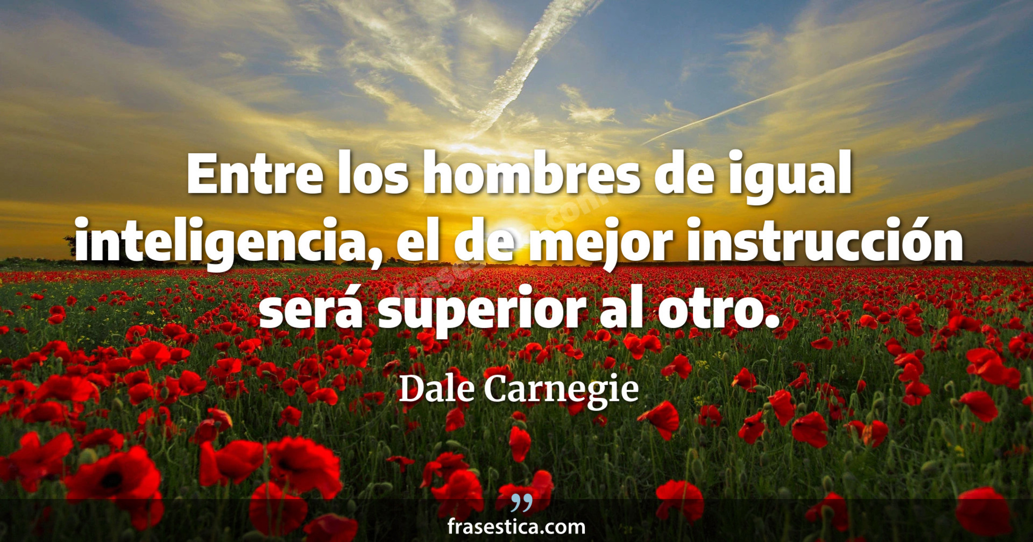 Entre los hombres de igual inteligencia, el de mejor instrucción será superior al otro. - Dale Carnegie