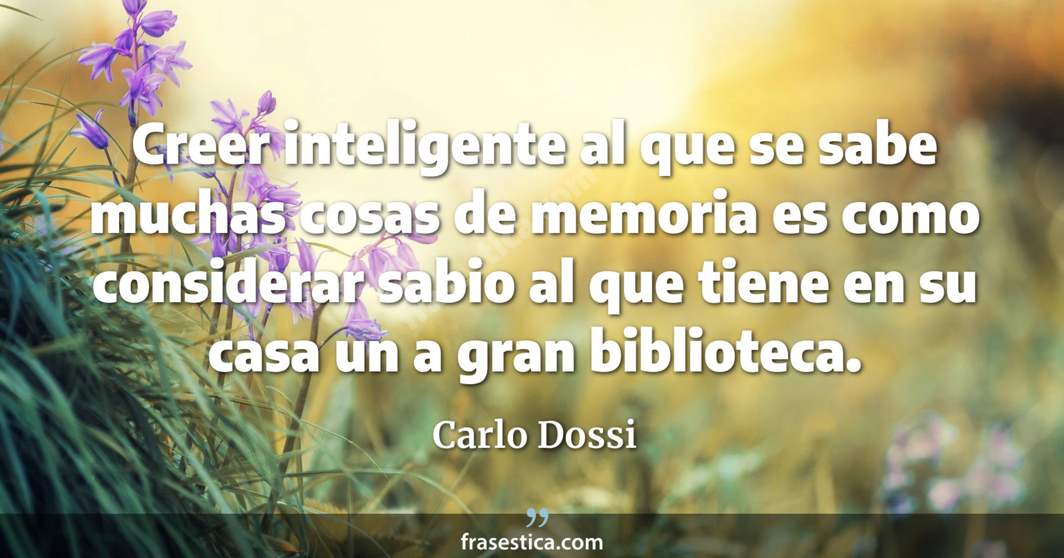 Creer inteligente al que se sabe muchas cosas de memoria es como considerar sabio al que tiene en su casa un a gran biblioteca. - Carlo Dossi