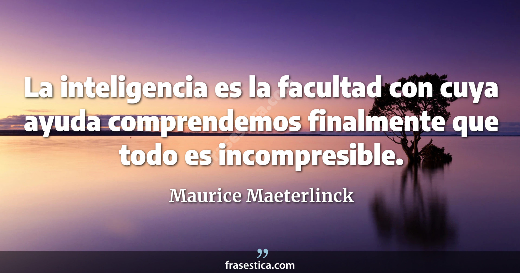 La inteligencia es la facultad con cuya ayuda comprendemos finalmente que todo es incompresible. - Maurice Maeterlinck