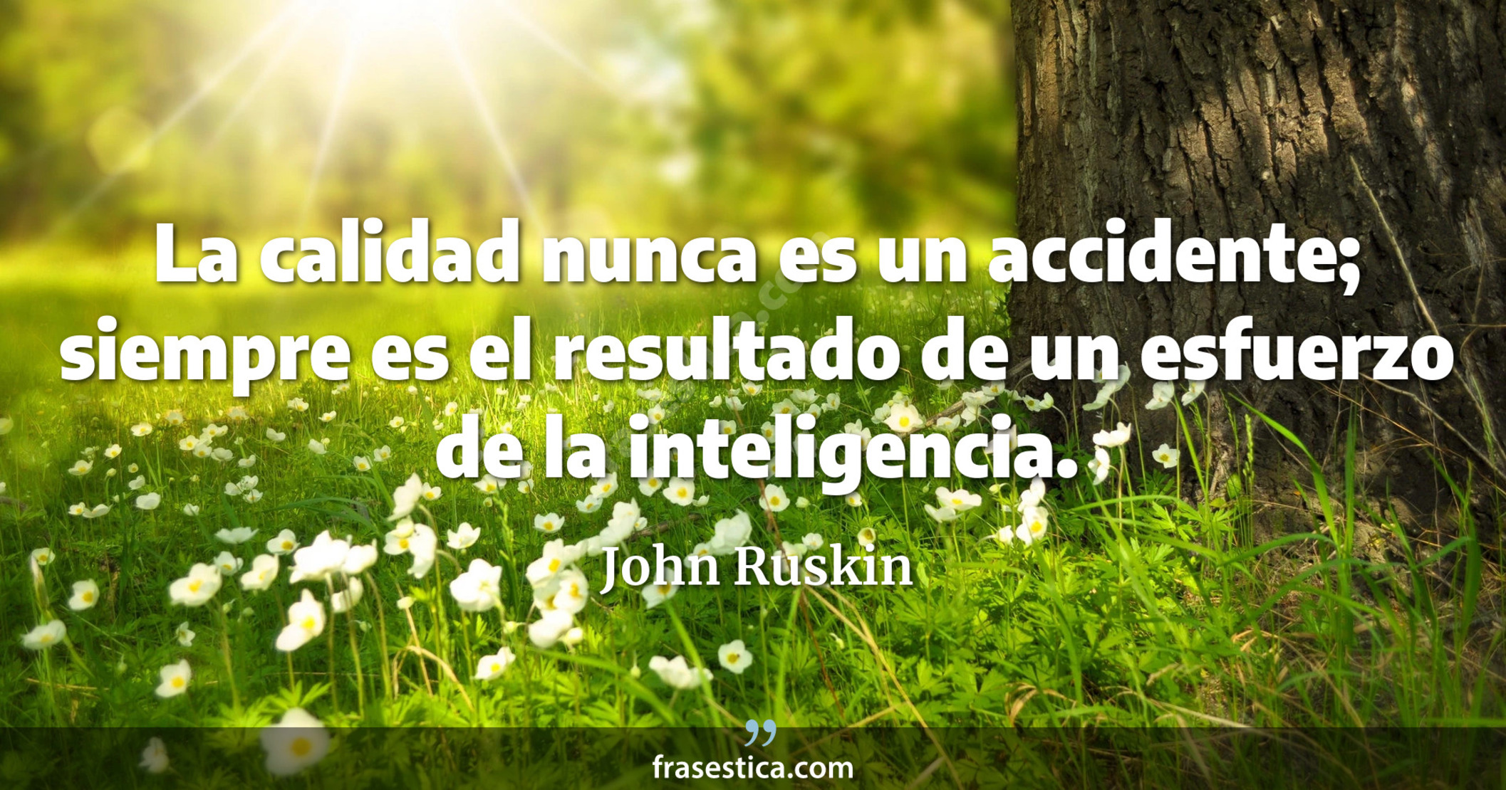 La calidad nunca es un accidente; siempre es el resultado de un esfuerzo de la inteligencia. - John Ruskin