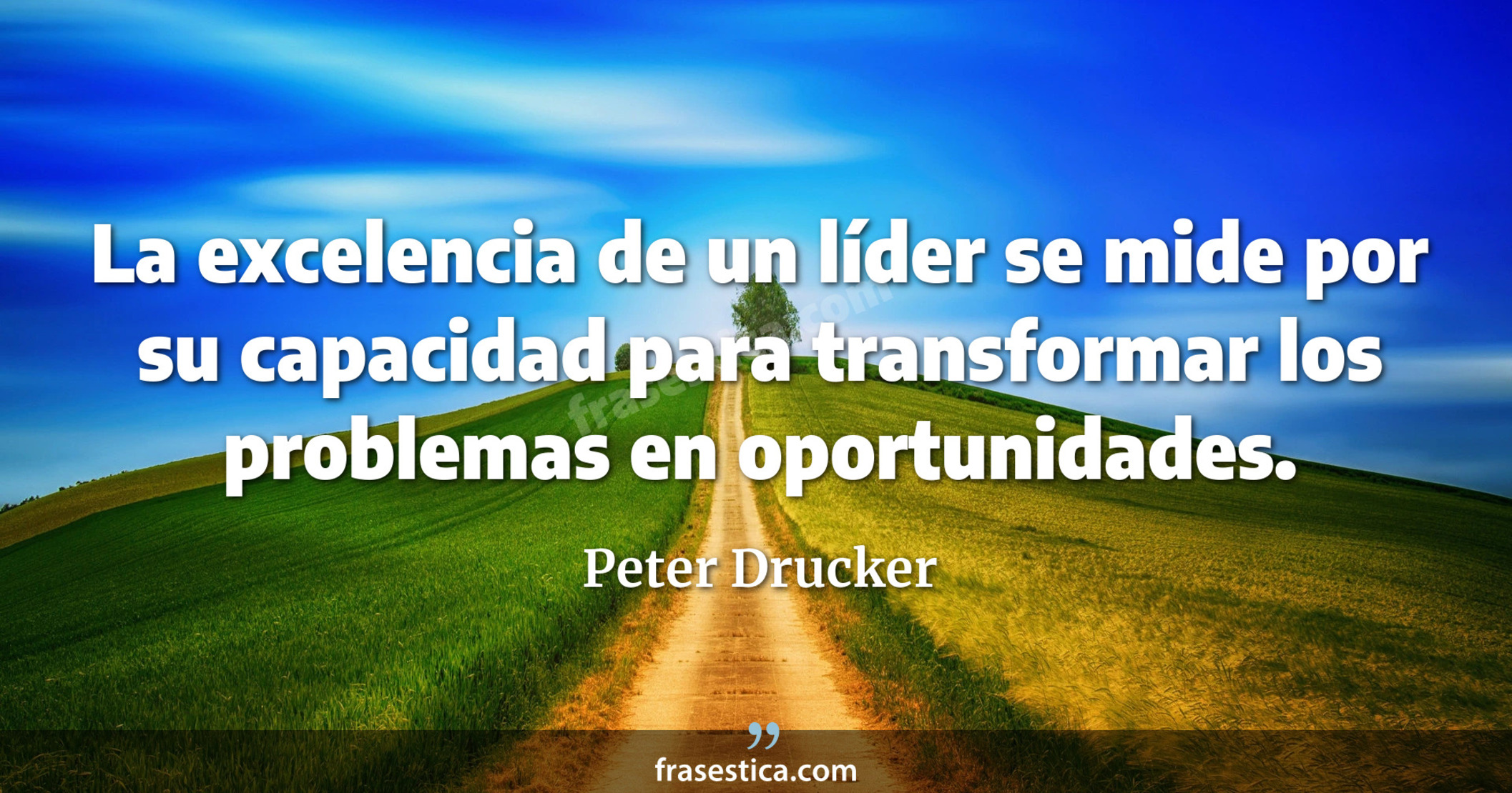 La excelencia de un líder se mide por su capacidad para transformar los problemas en oportunidades. - Peter Drucker