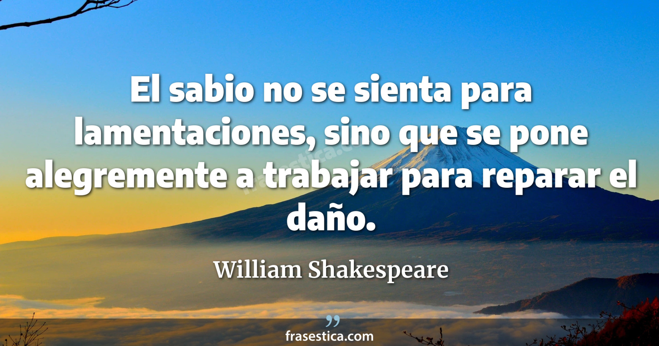 El sabio no se sienta para lamentaciones, sino que se pone alegremente a trabajar para reparar el daño. - William Shakespeare