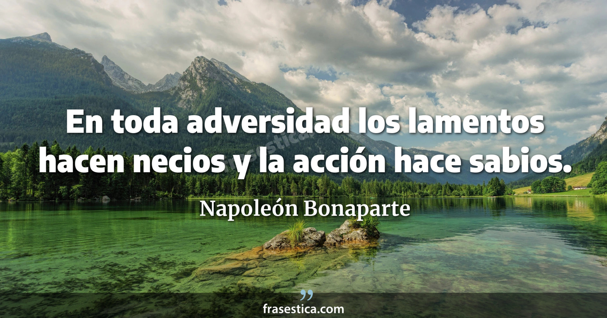 En toda adversidad los lamentos hacen necios y la acción hace sabios. - Napoleón Bonaparte