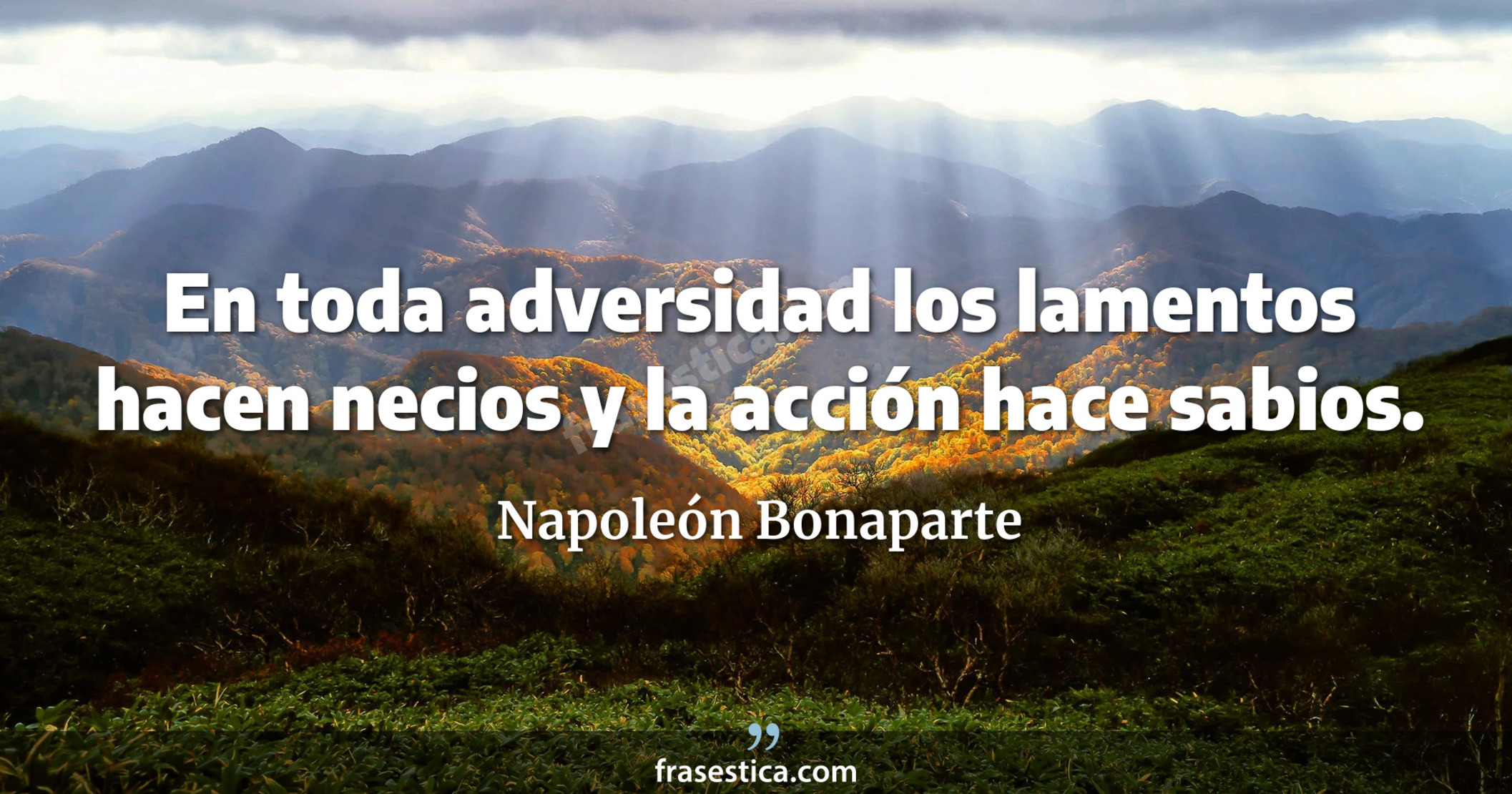 En toda adversidad los lamentos hacen necios y la acción hace sabios. - Napoleón Bonaparte