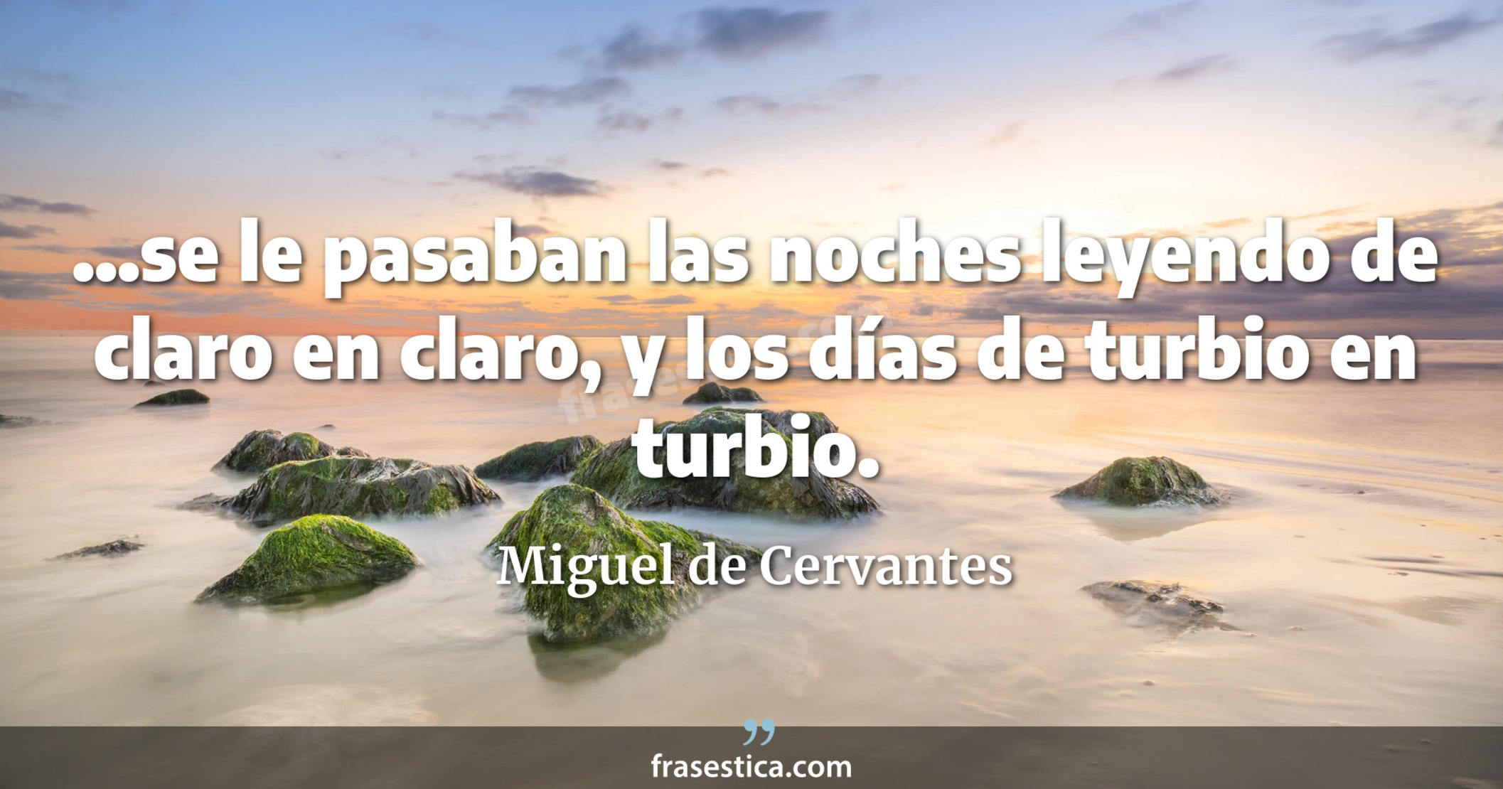 ...se le pasaban las noches leyendo de claro en claro, y los días de turbio en turbio. - Miguel de Cervantes