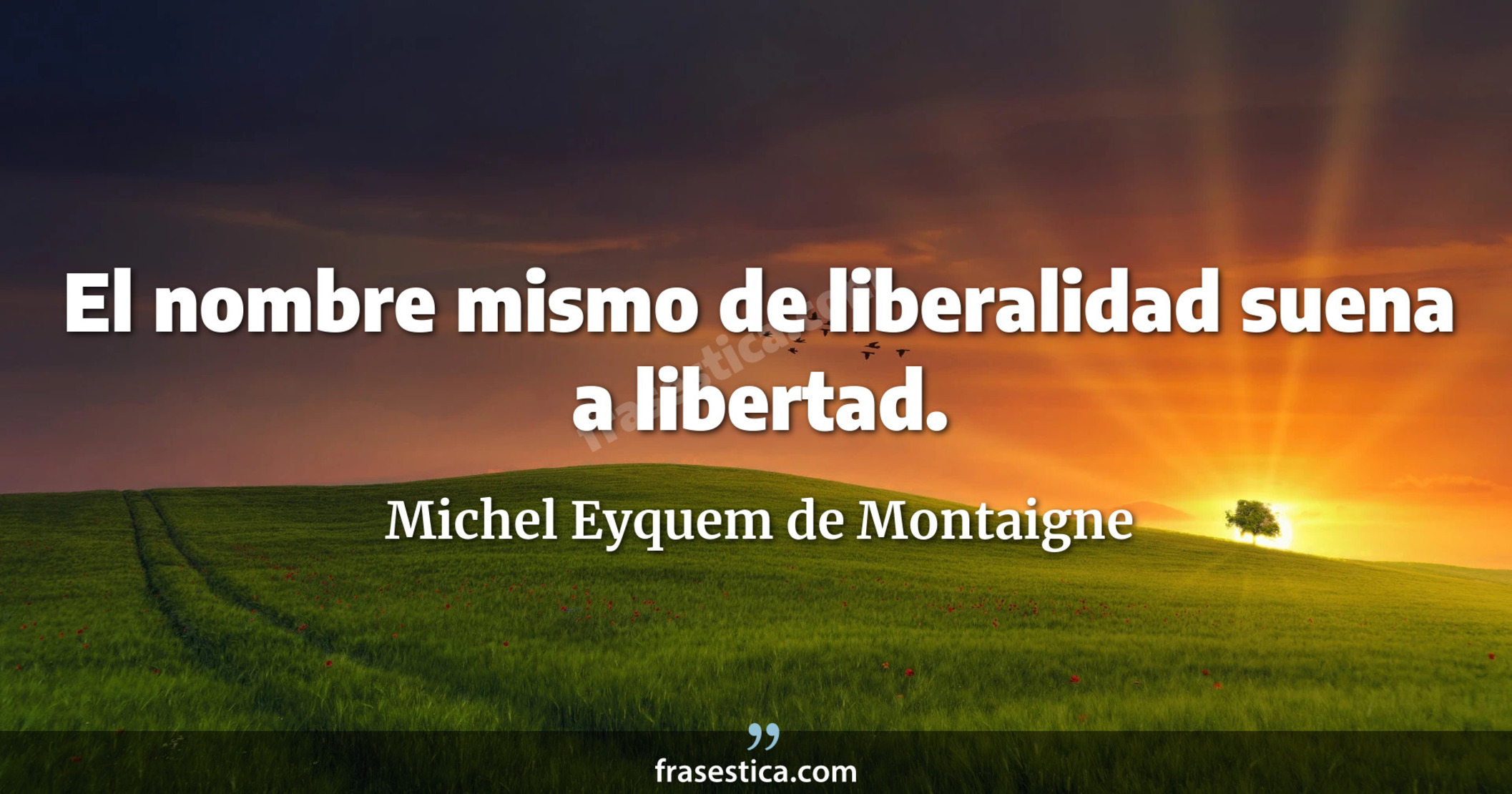 El nombre mismo de liberalidad suena a libertad. - Michel Eyquem de Montaigne