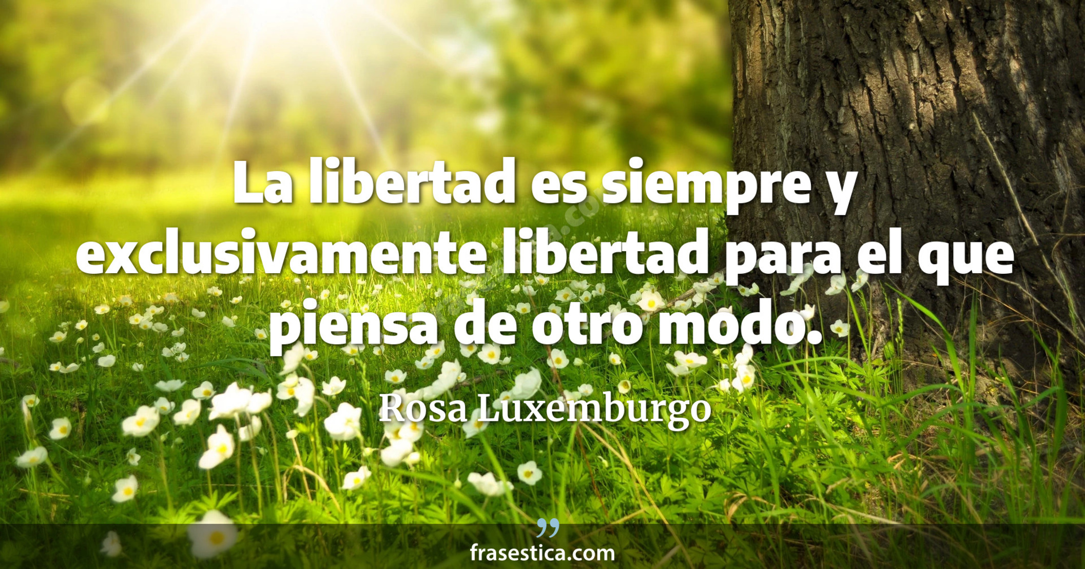 La libertad es siempre y exclusivamente libertad para el que piensa de otro modo. - Rosa Luxemburgo