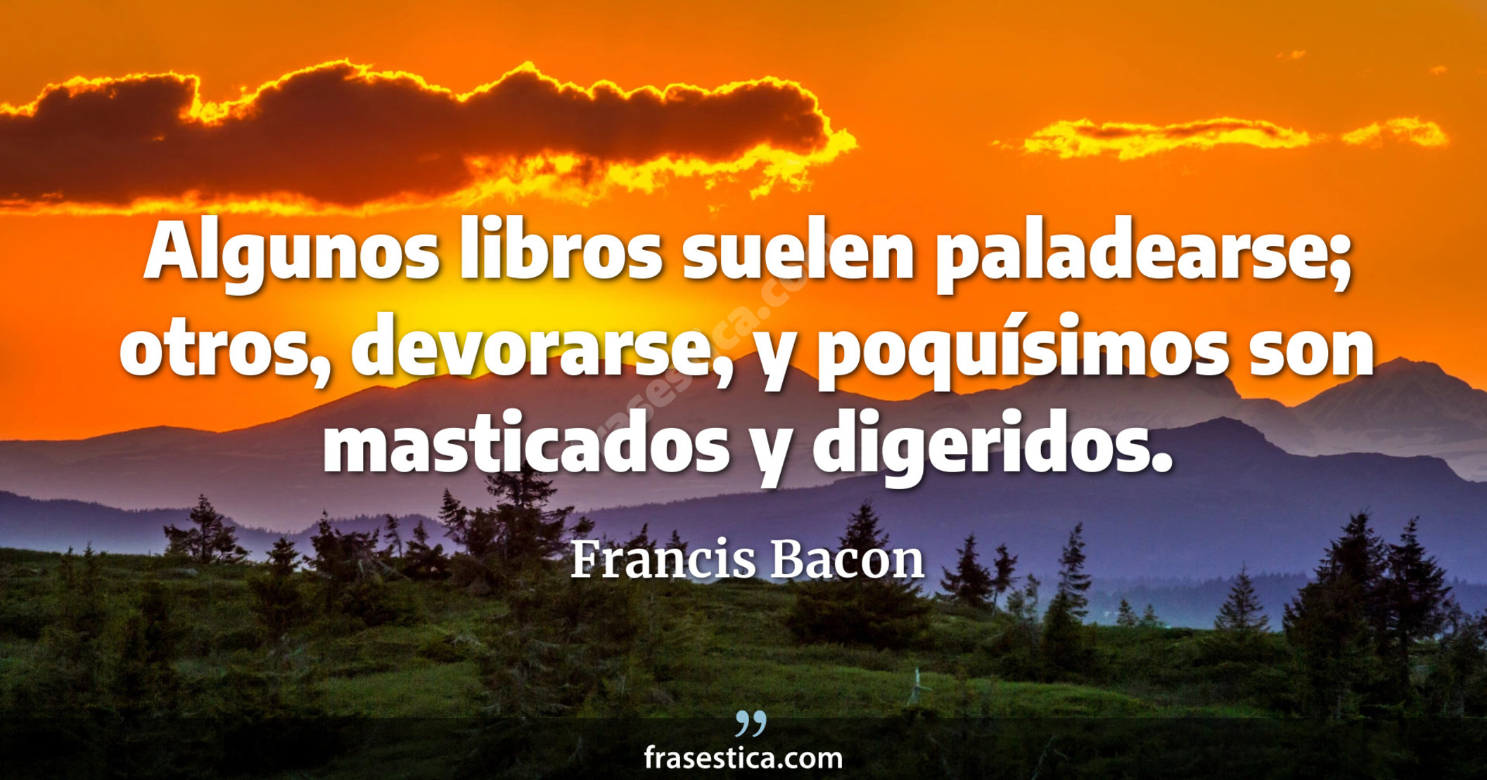Algunos libros suelen paladearse; otros, devorarse, y poquísimos son masticados y digeridos. - Francis Bacon