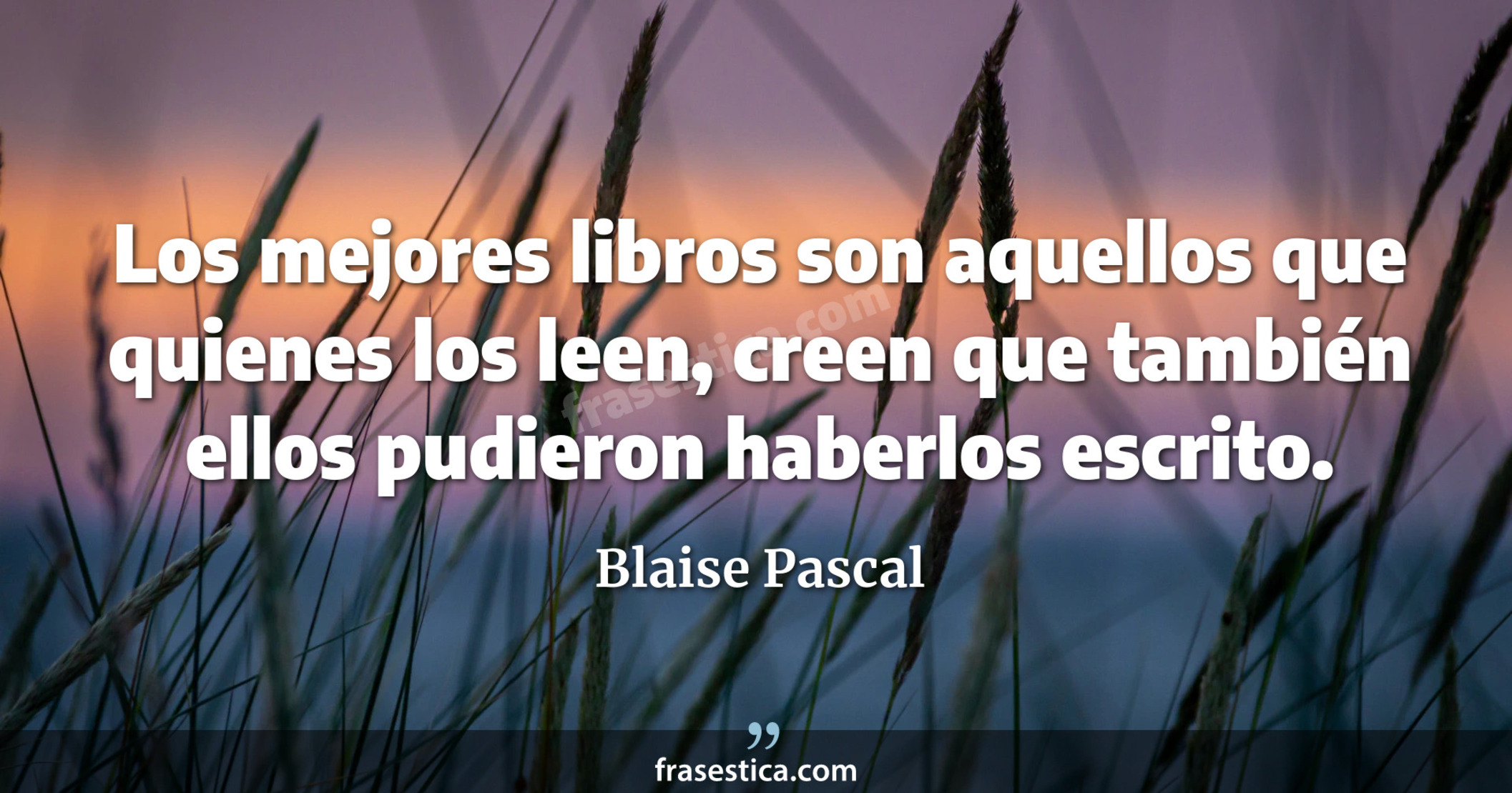 Los mejores libros son aquellos que quienes los leen, creen que también ellos pudieron haberlos escrito. - Blaise Pascal